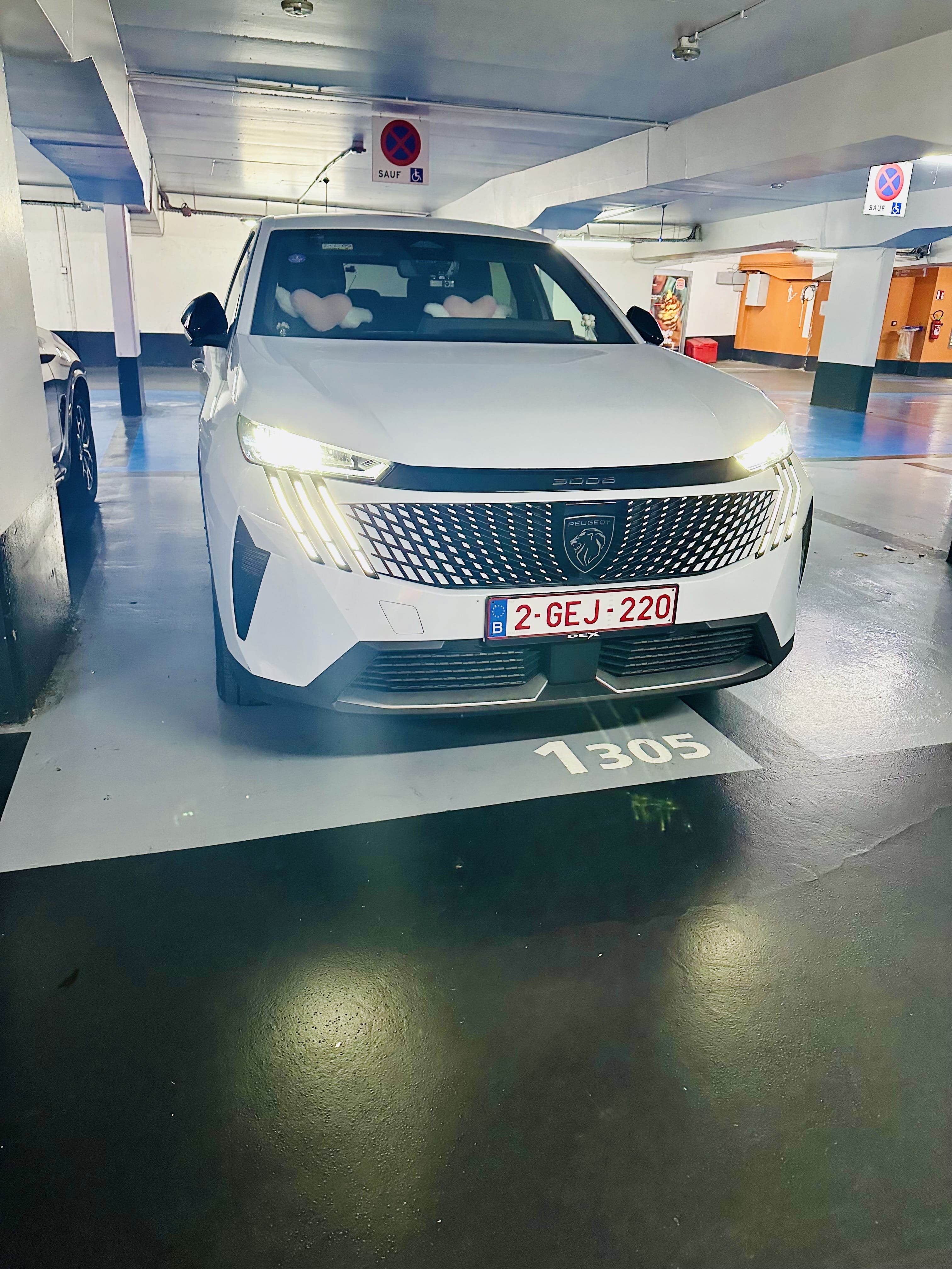 Peugeot 3008, 2024, Euro 95 (E10) / Elektrisch (hybride), automatisch