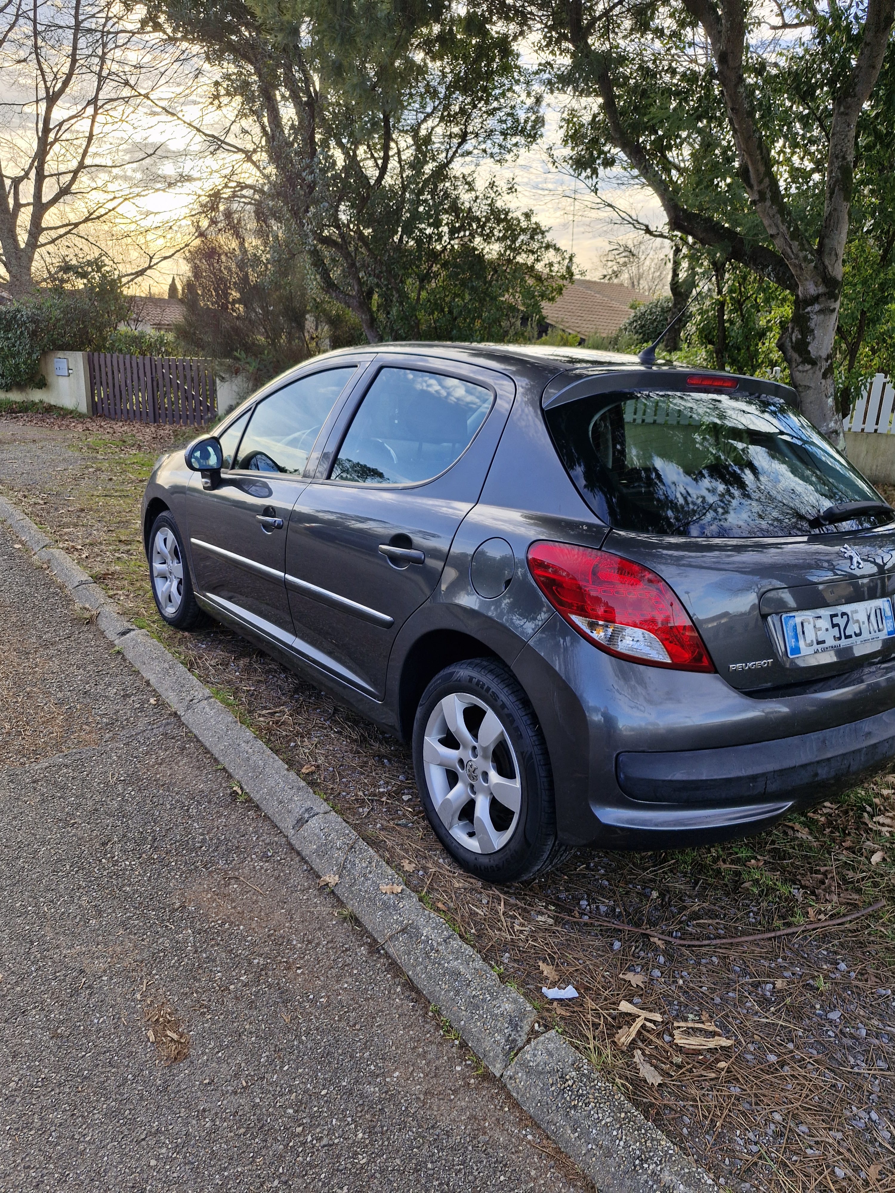 Peugeot 207