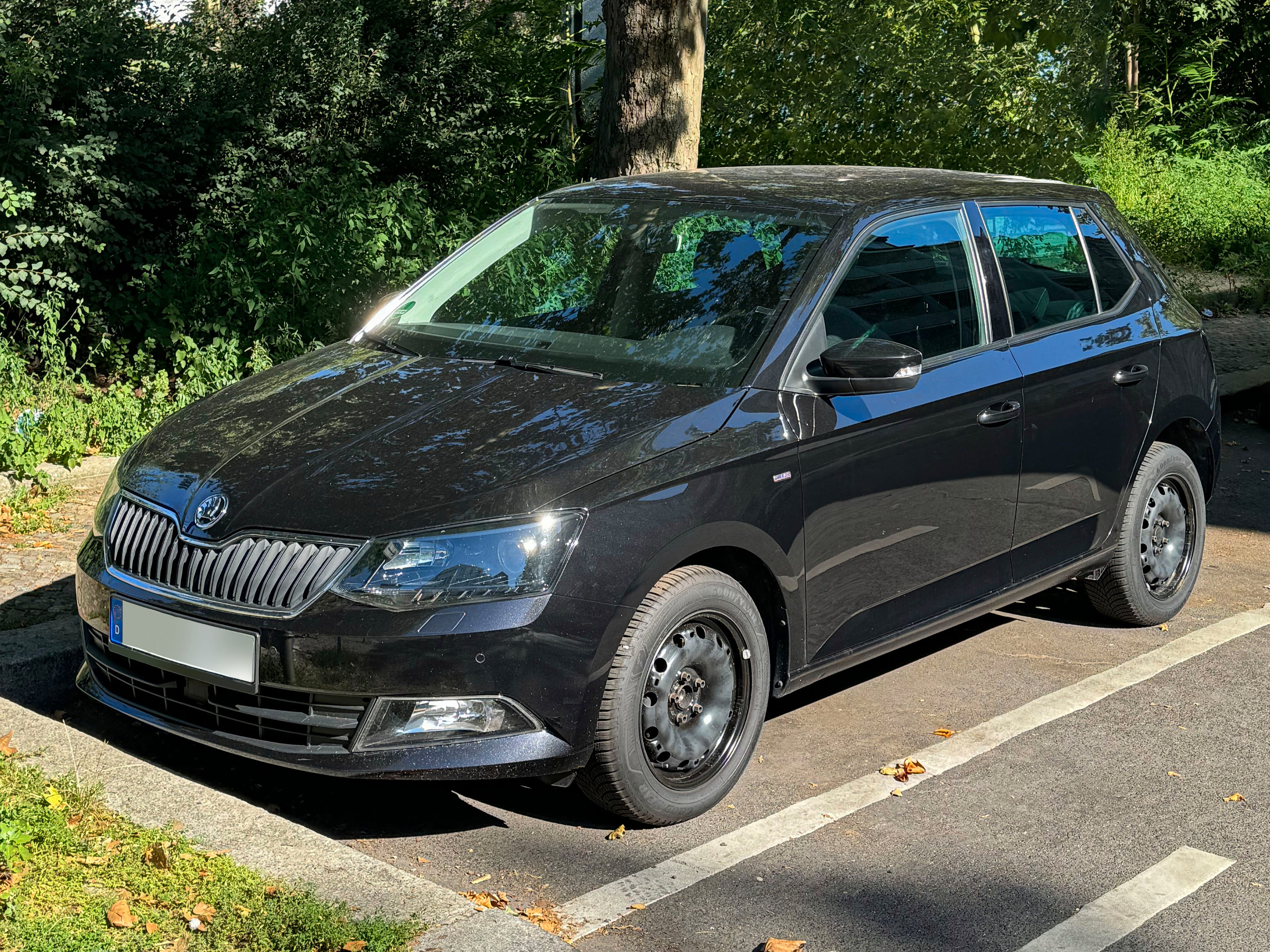 Skoda Fabia, 2017, Super 95