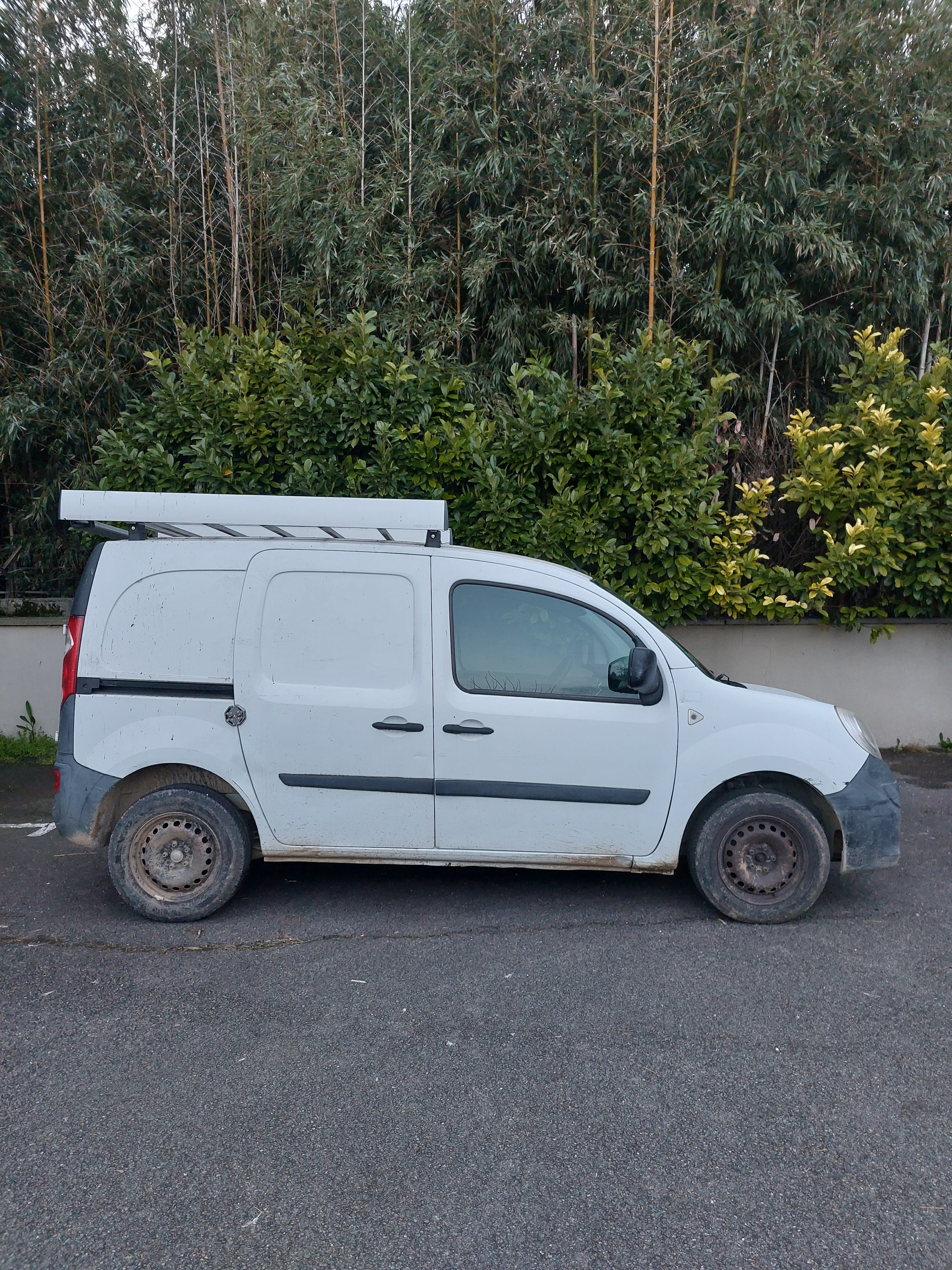 Renault Kangoo Express