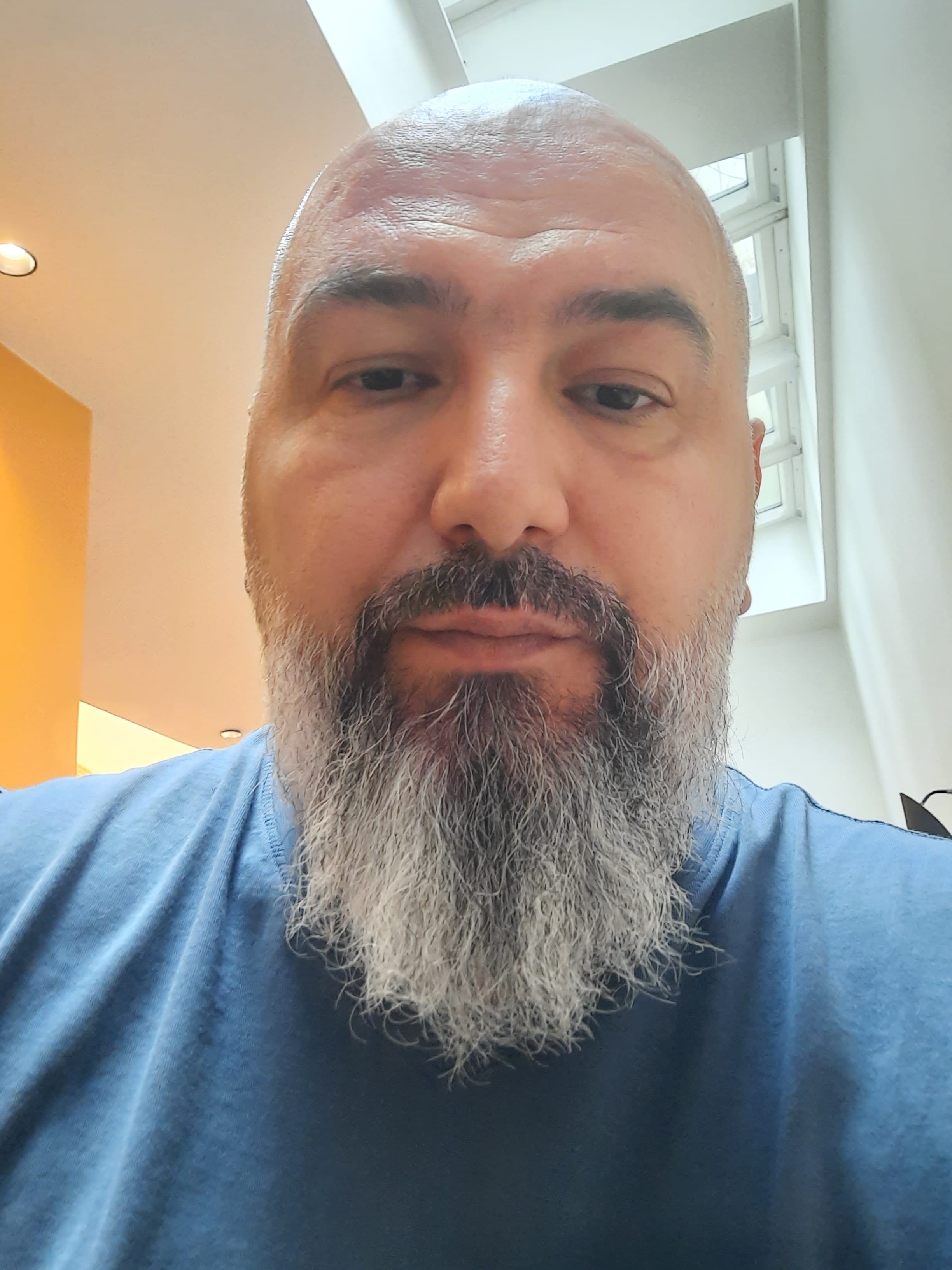 Catalin