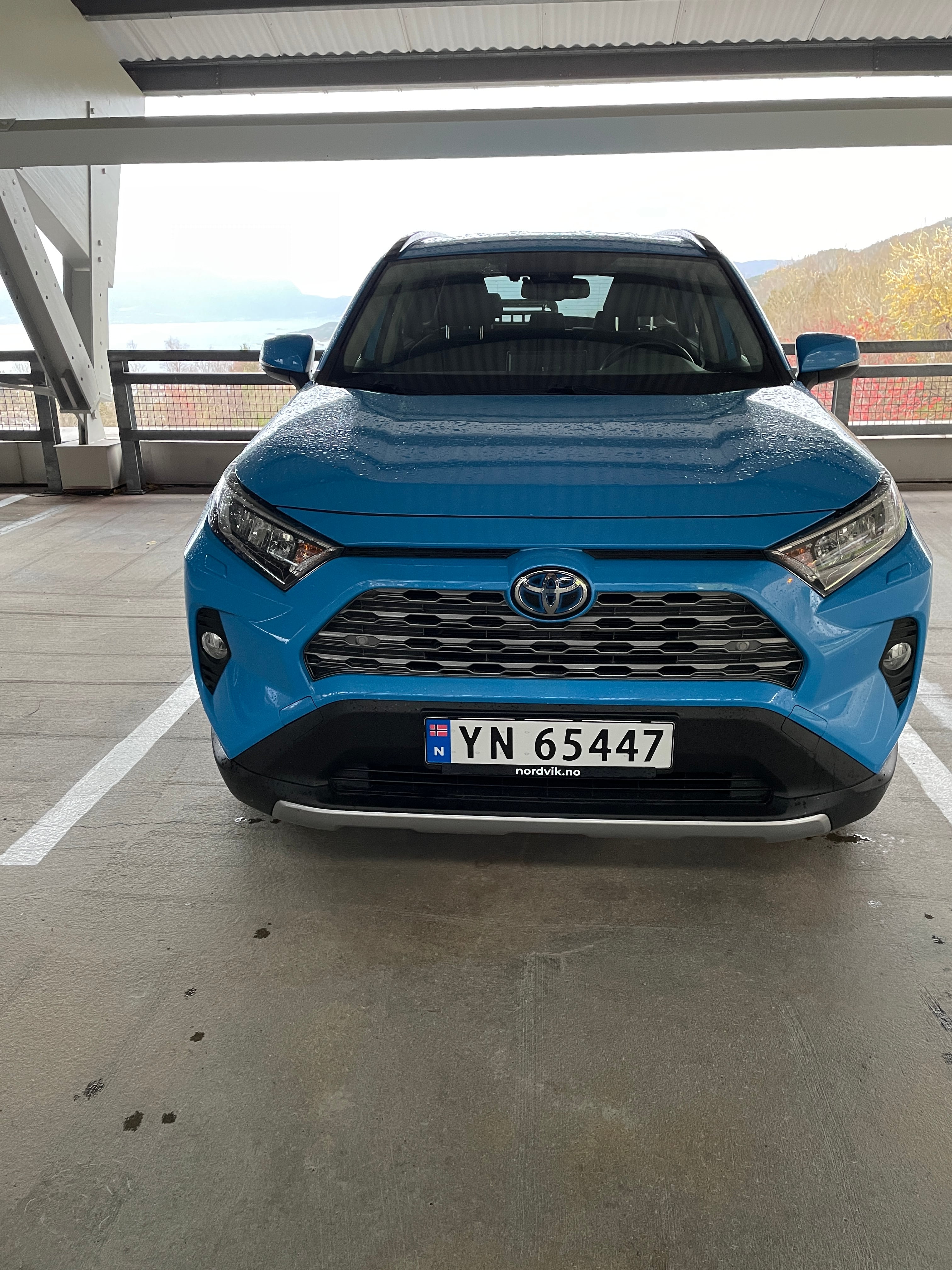 Toyota RAV 4 Hybrid med Cruisekontroll