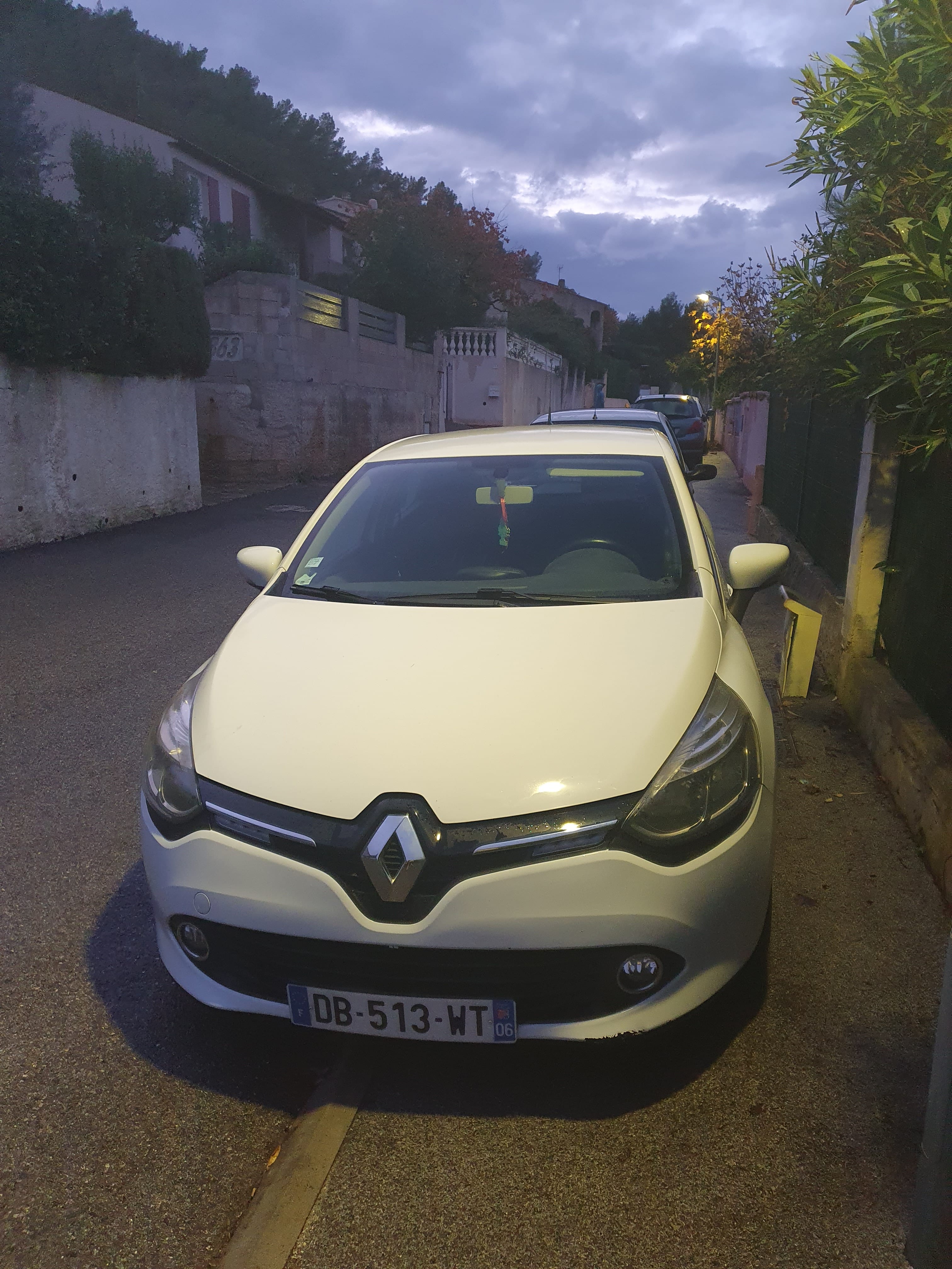 Renault Clio Société, 2013, Diesel