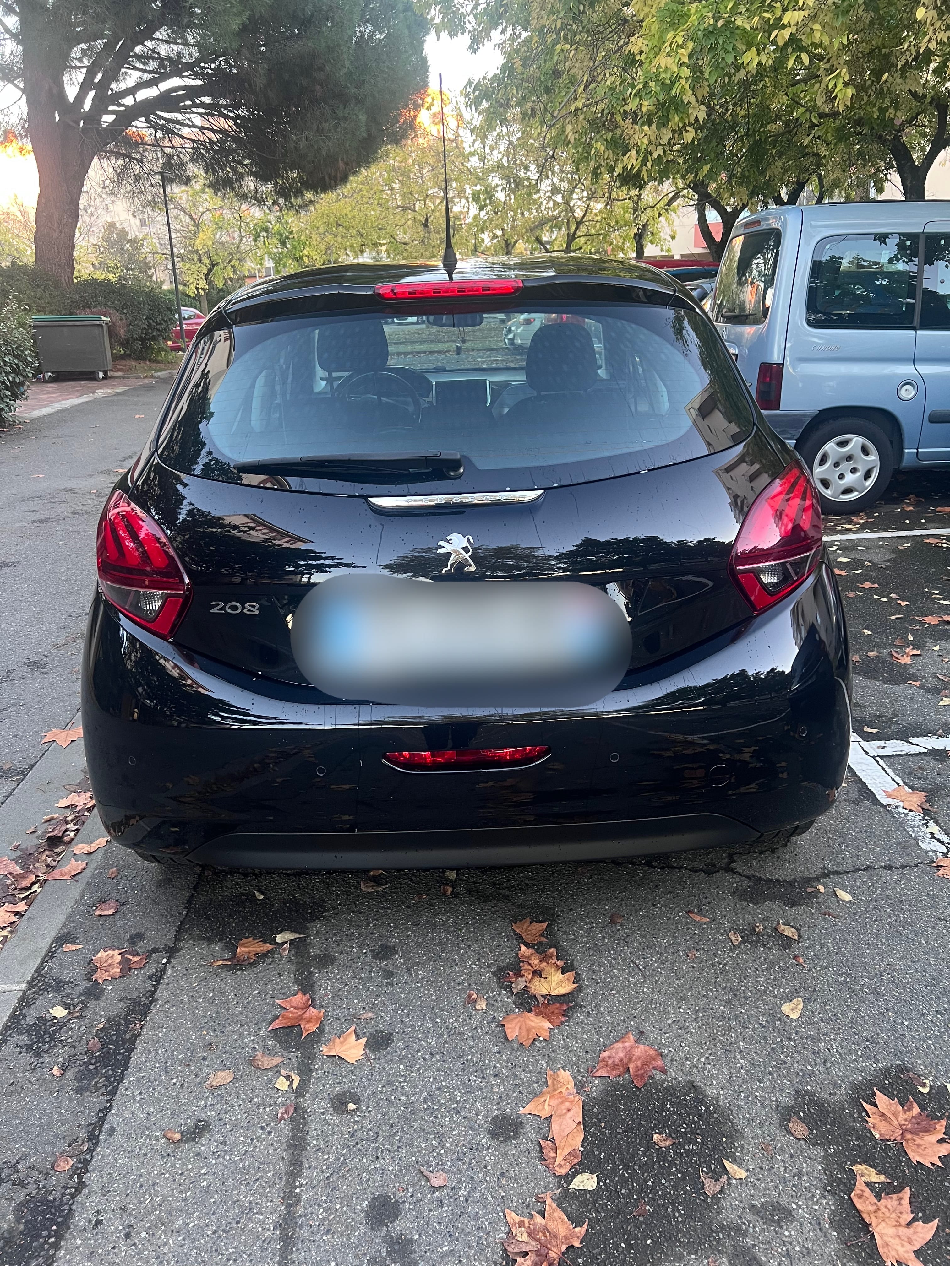 Peugeot 208 avec GPS
