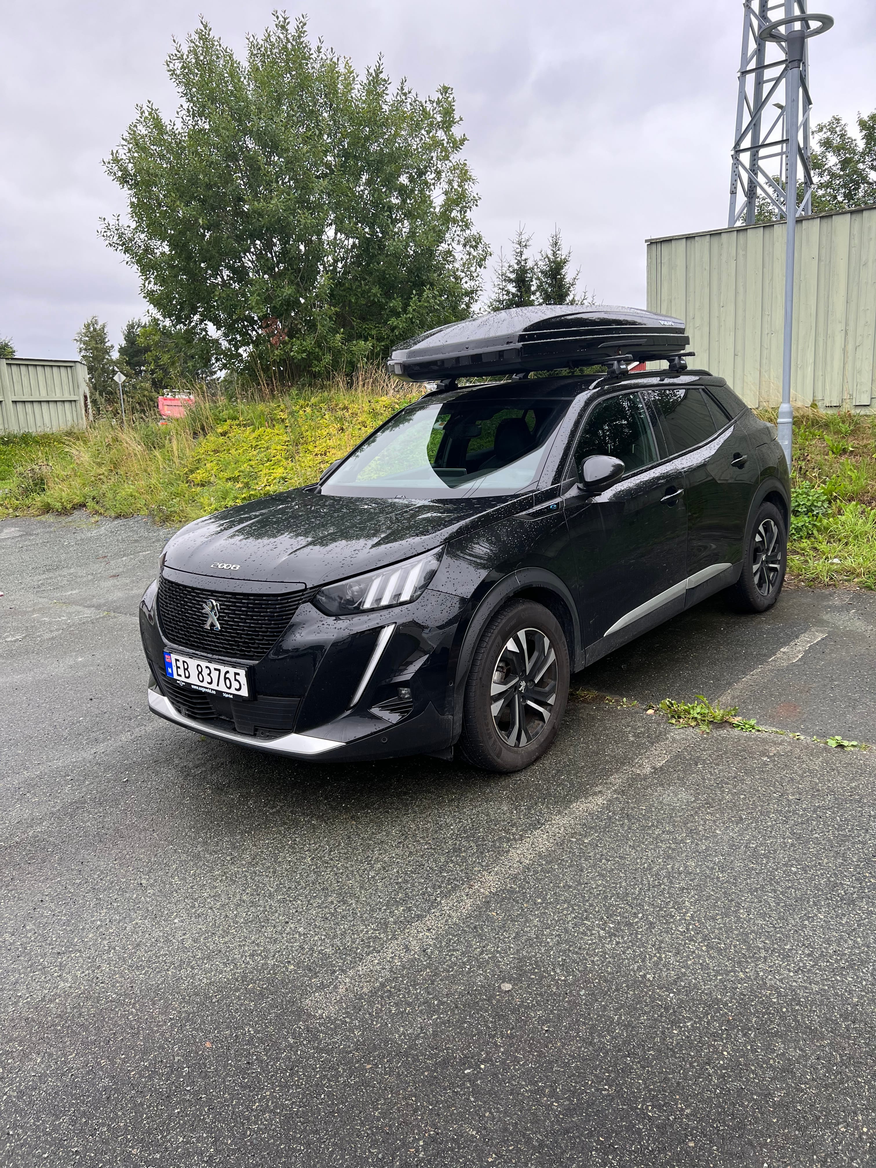 Peugeot 2008, 2020, Electric, automatic