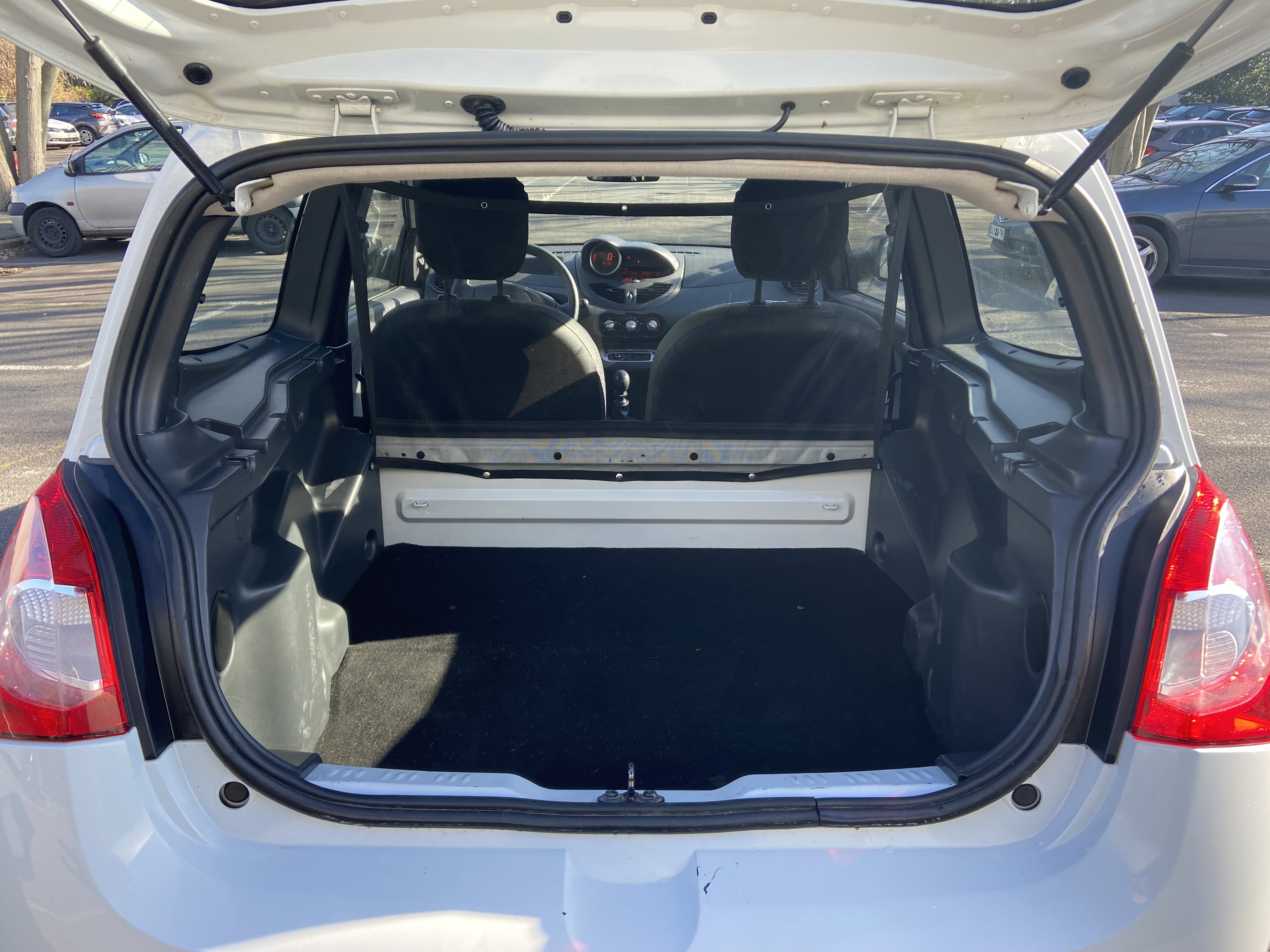 Renault Twingo Société