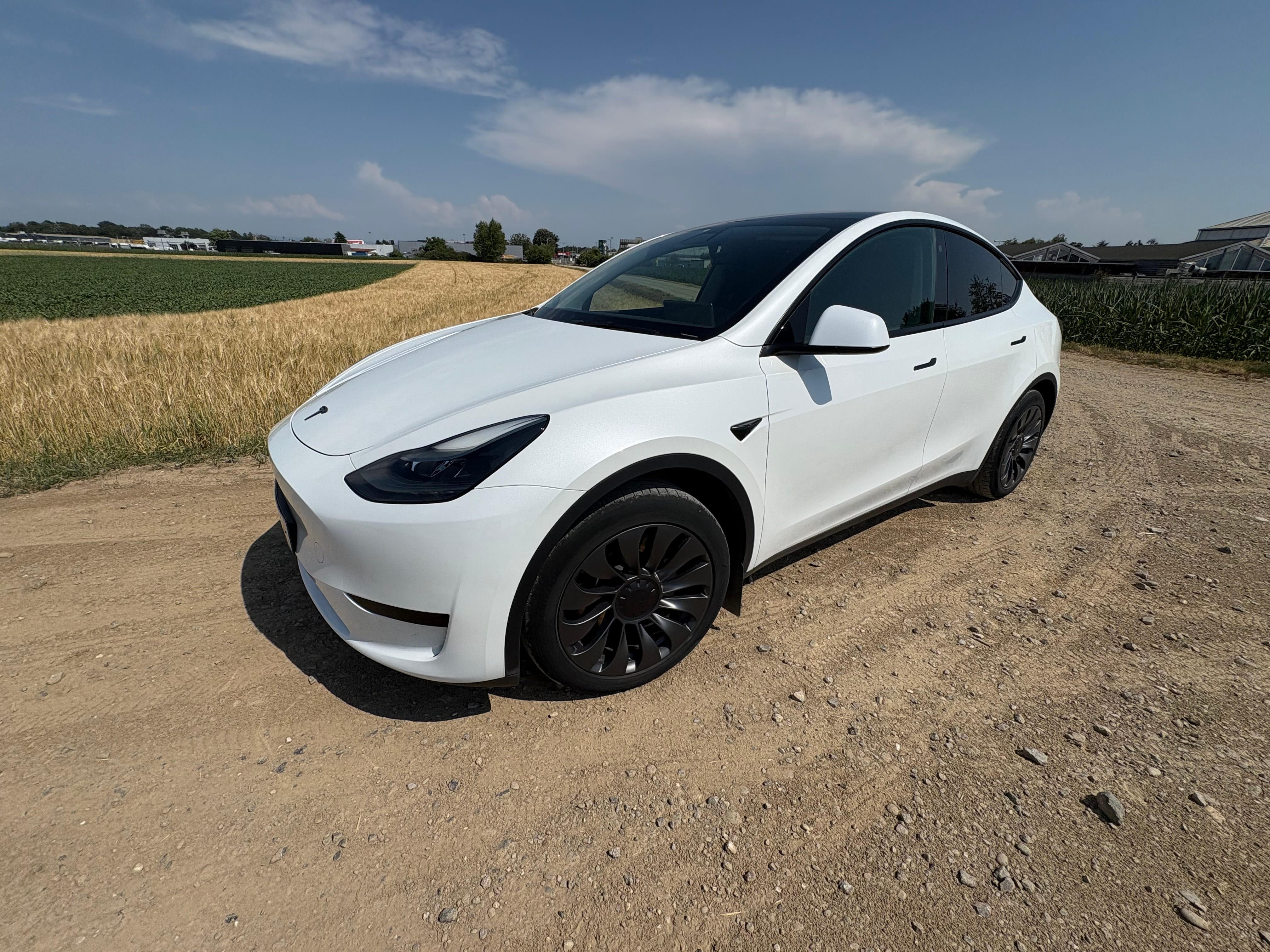 Tesla Model Y Standard Range, 2023, Électrique, automatique