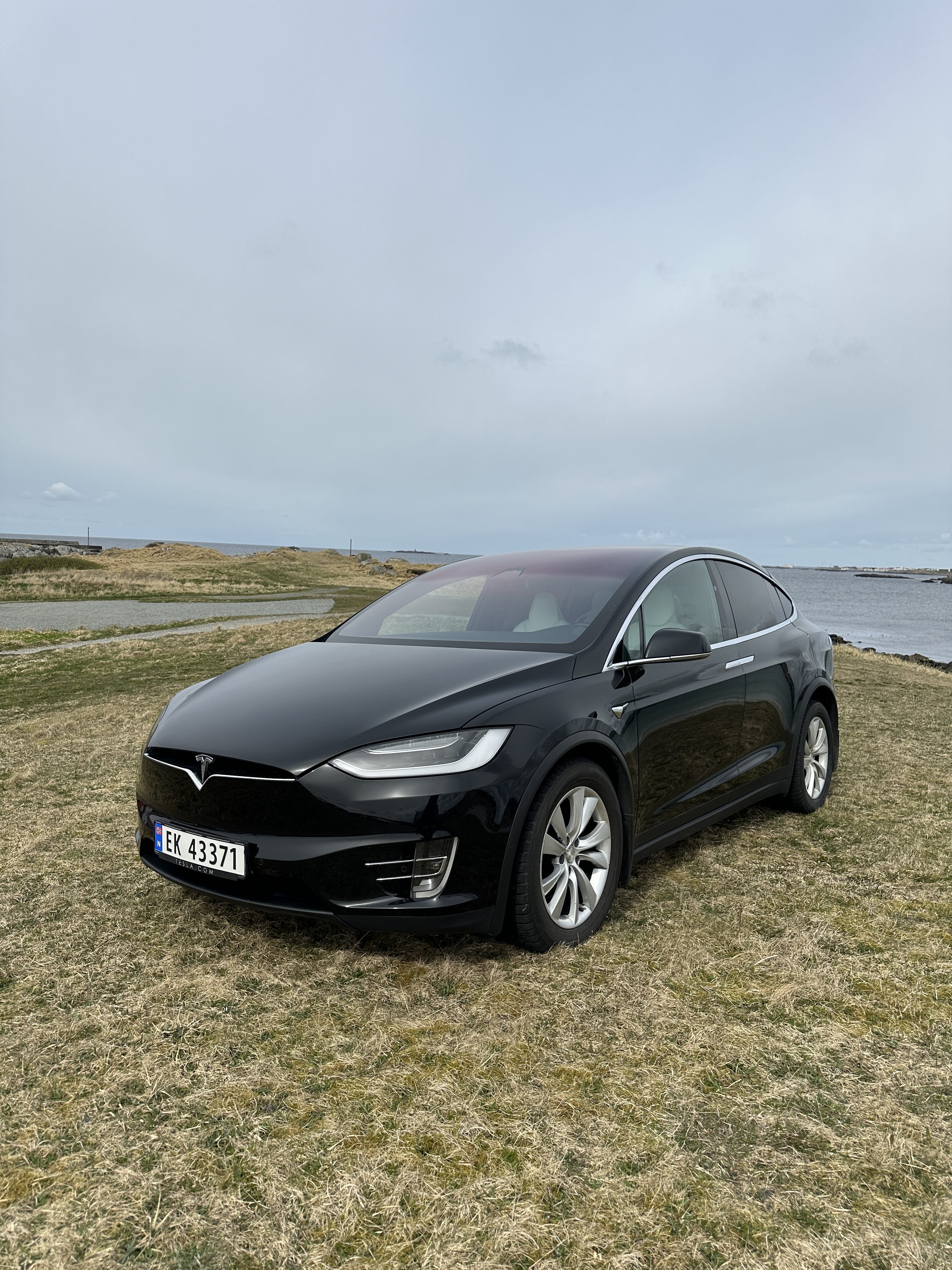 Tesla Model X 100D, 2017, Elektrisk, automatisk, 6 seter