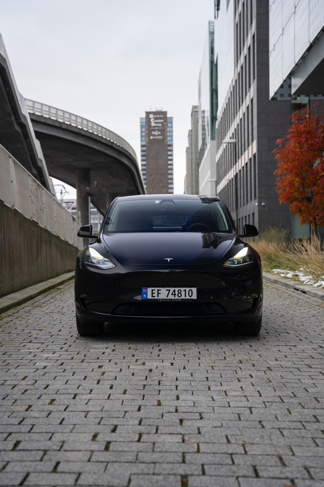 Tesla Model Y, 2023, Electric, automatic