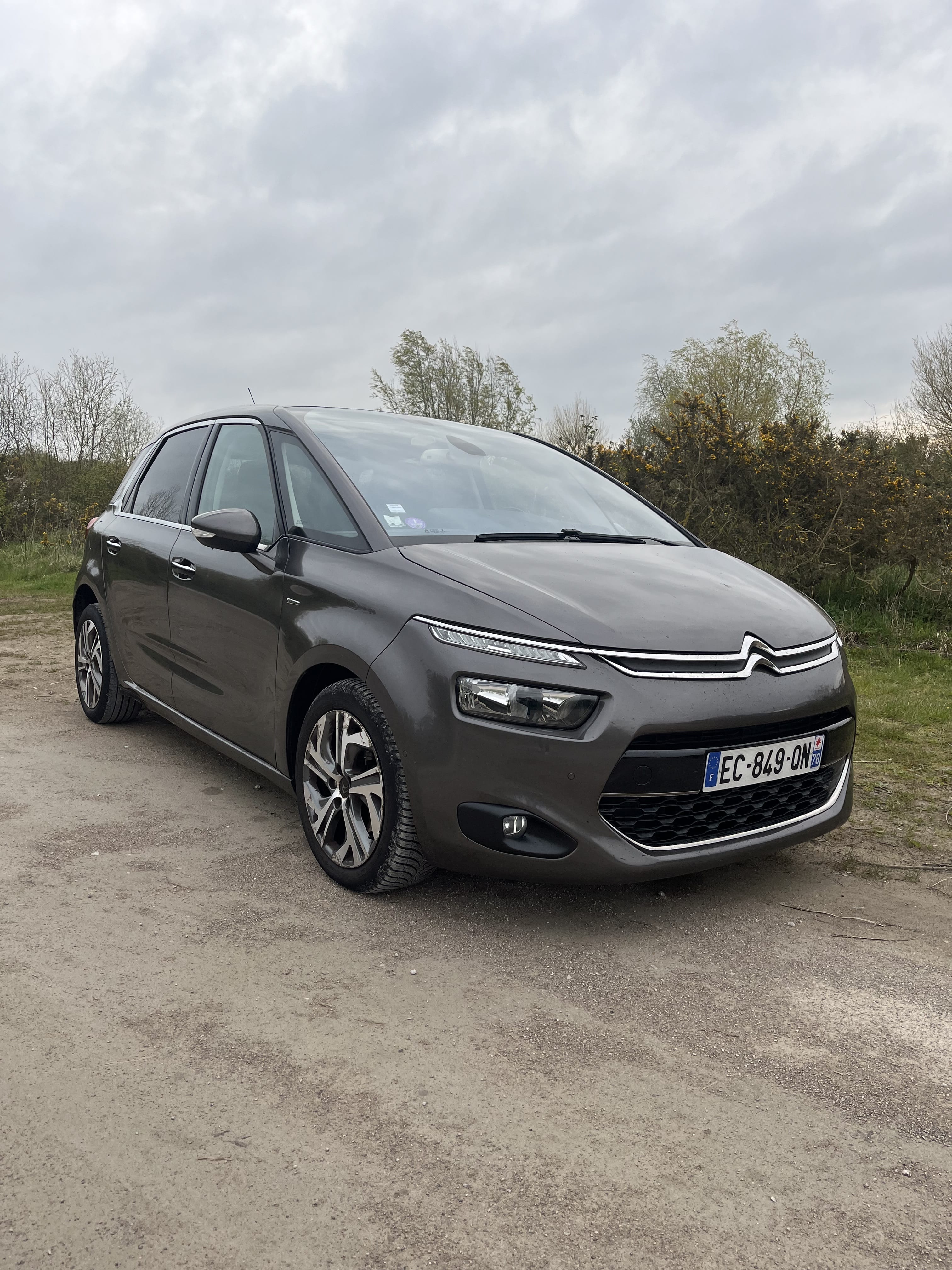 Citroen C4 Picasso, 2016, Essence 95