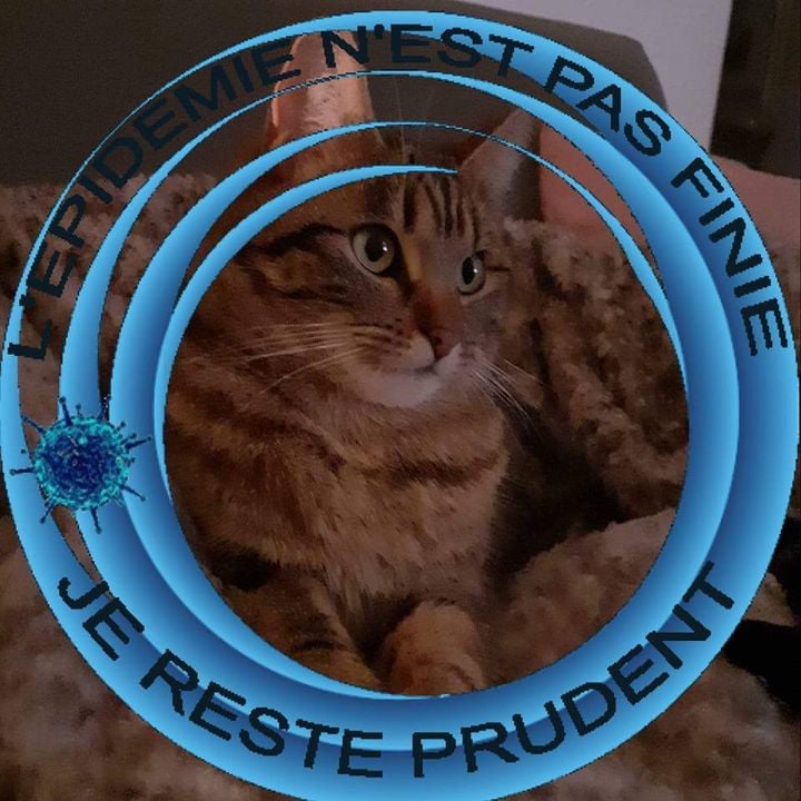 Anne