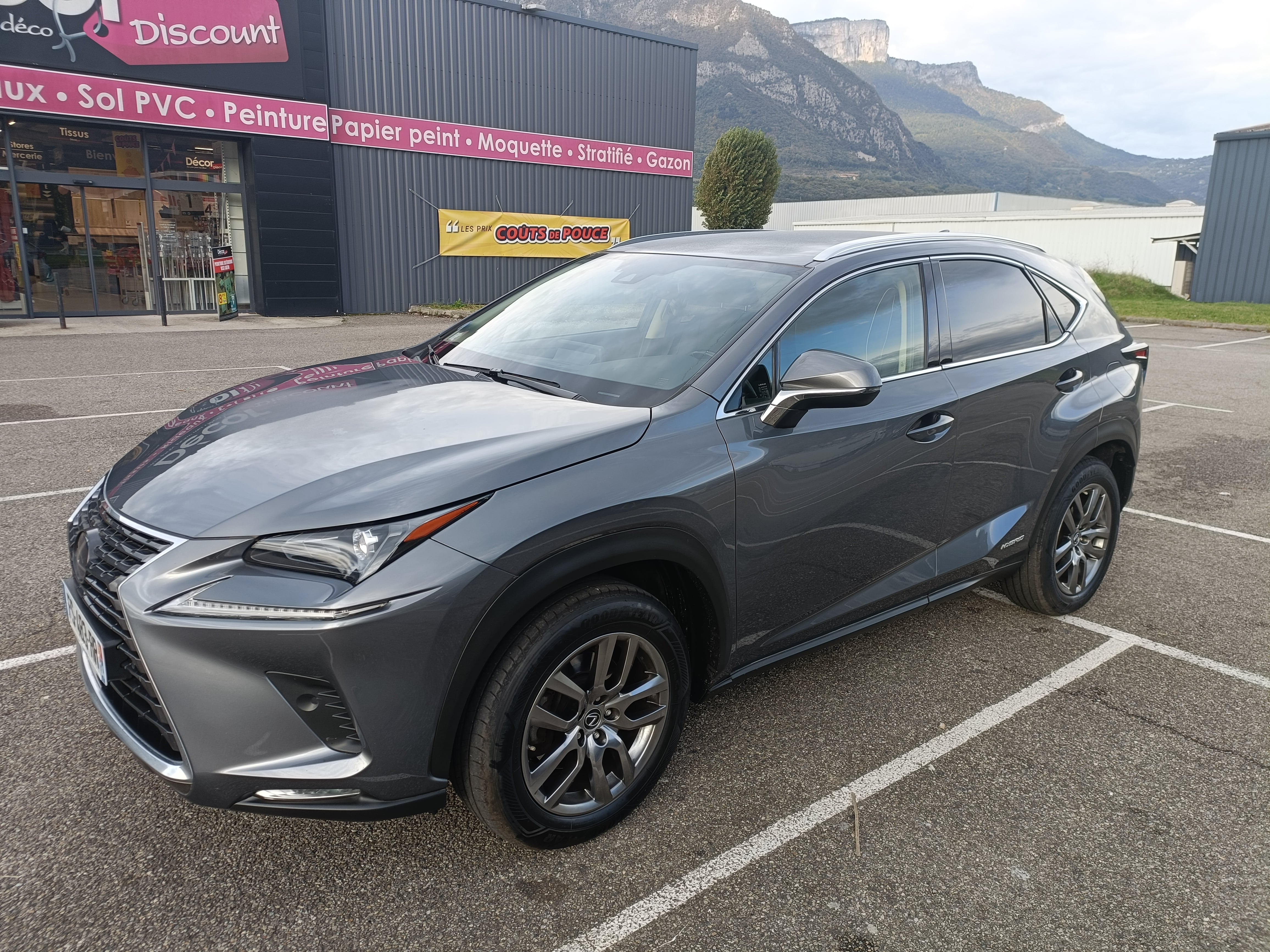 Lexus NX 300h, 2020, Essence 95 / Électrique (hybride), automatique