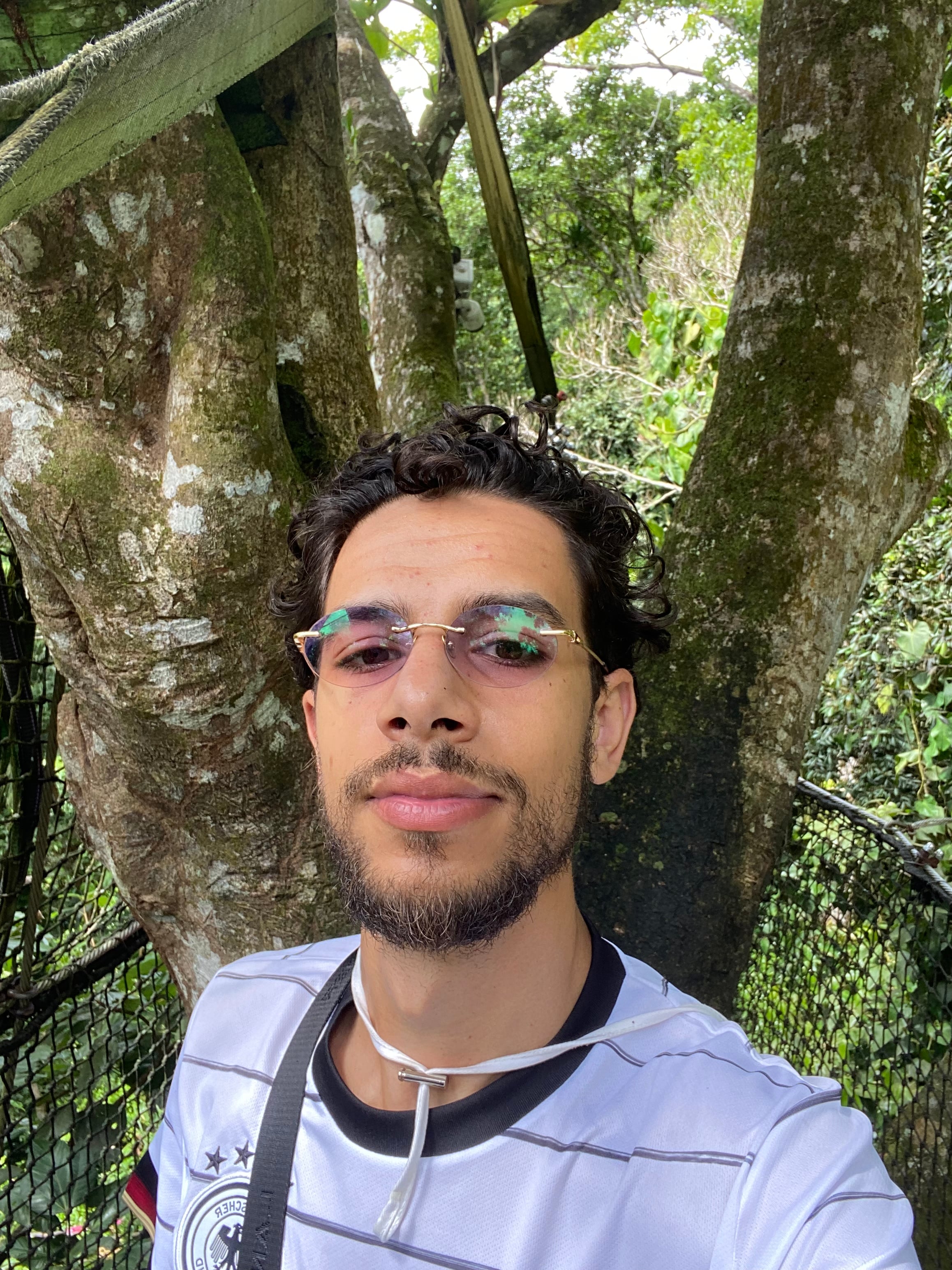Dylan