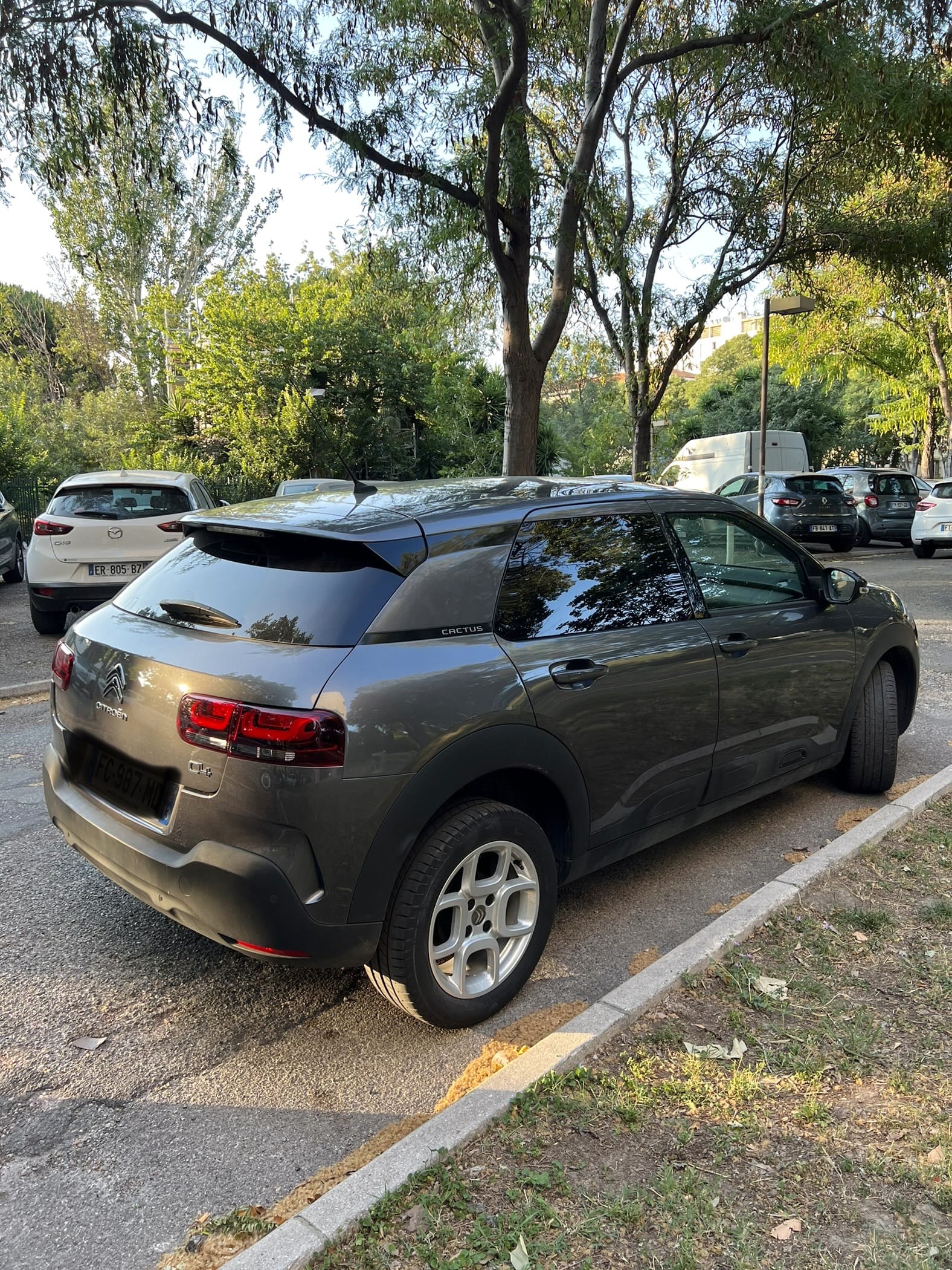 Citroen C4 Cactus avec Audio Bluetooth
