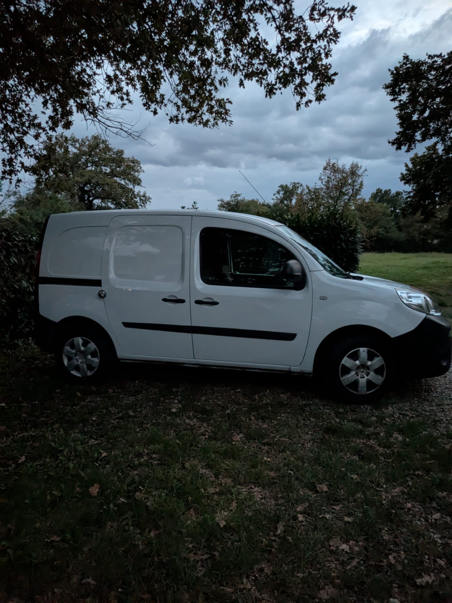 Renault Kangoo Express, 2019, Essence 98