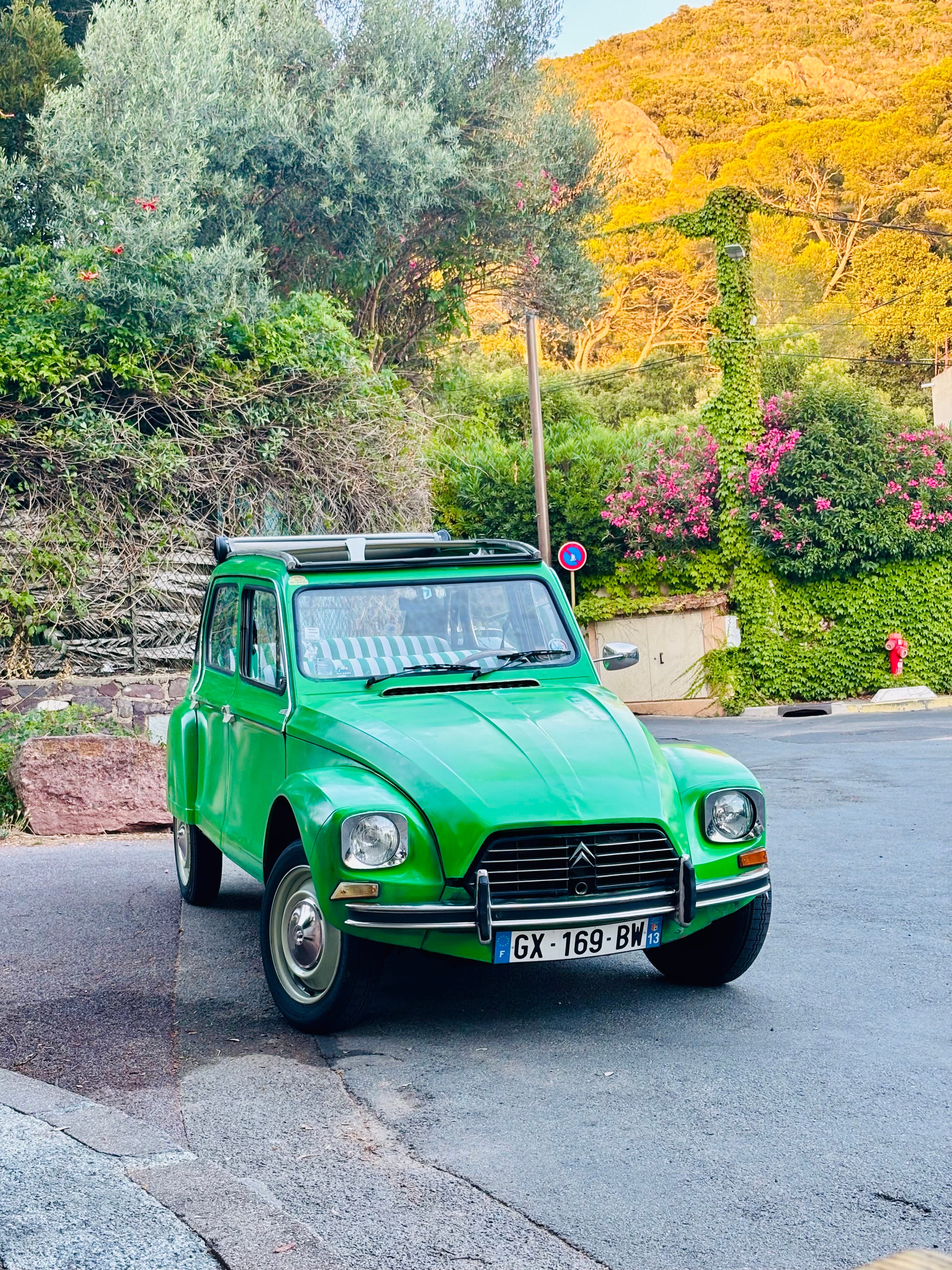 Citroen Dyane 6, 1976, Essence 98