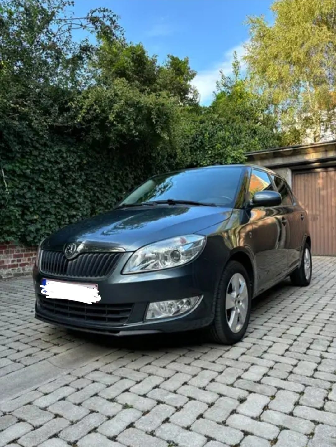 Skoda Fabia, 2015, Euro 95 (E10)
