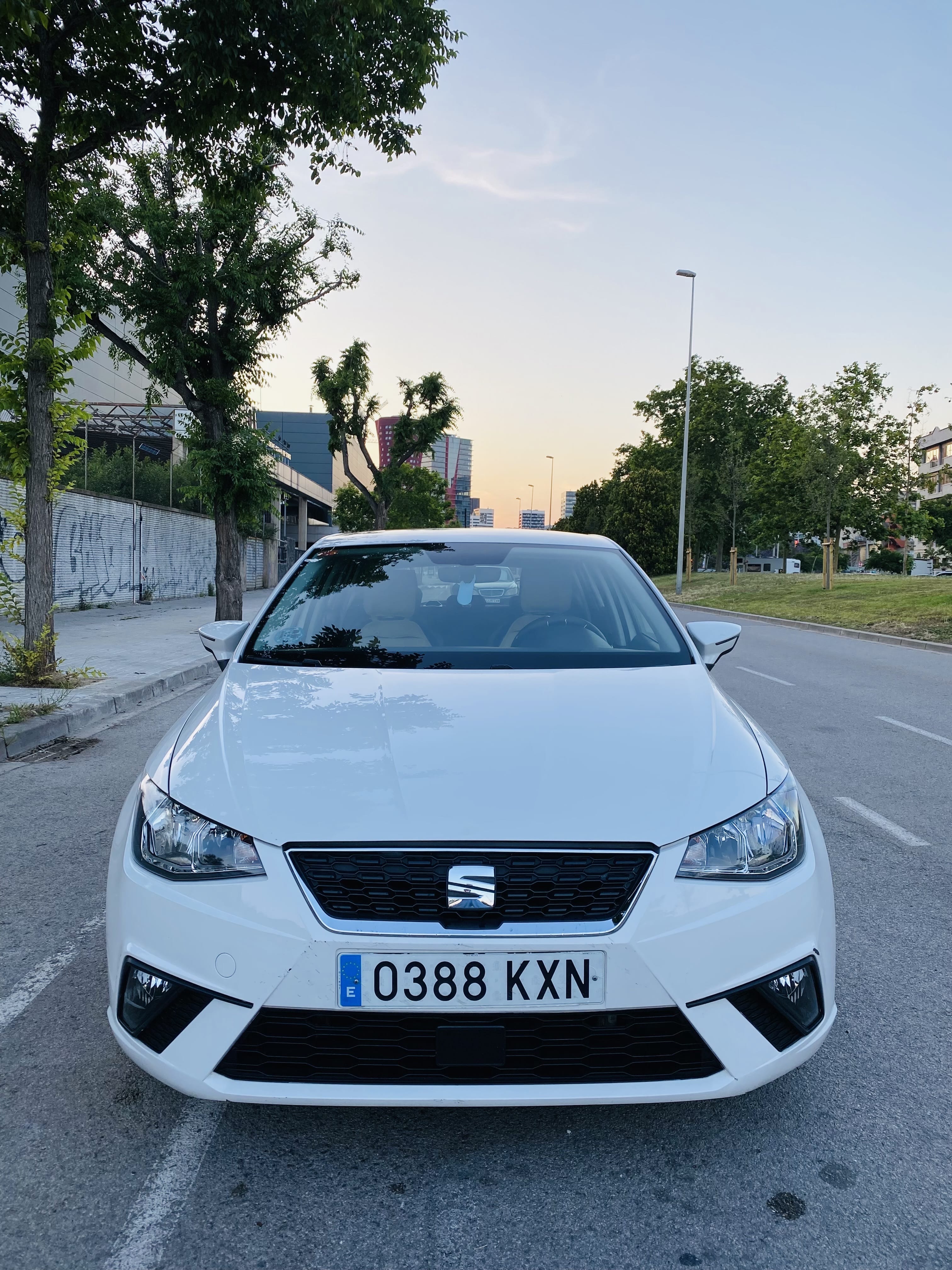 Seat Ibiza con Portaequipajes