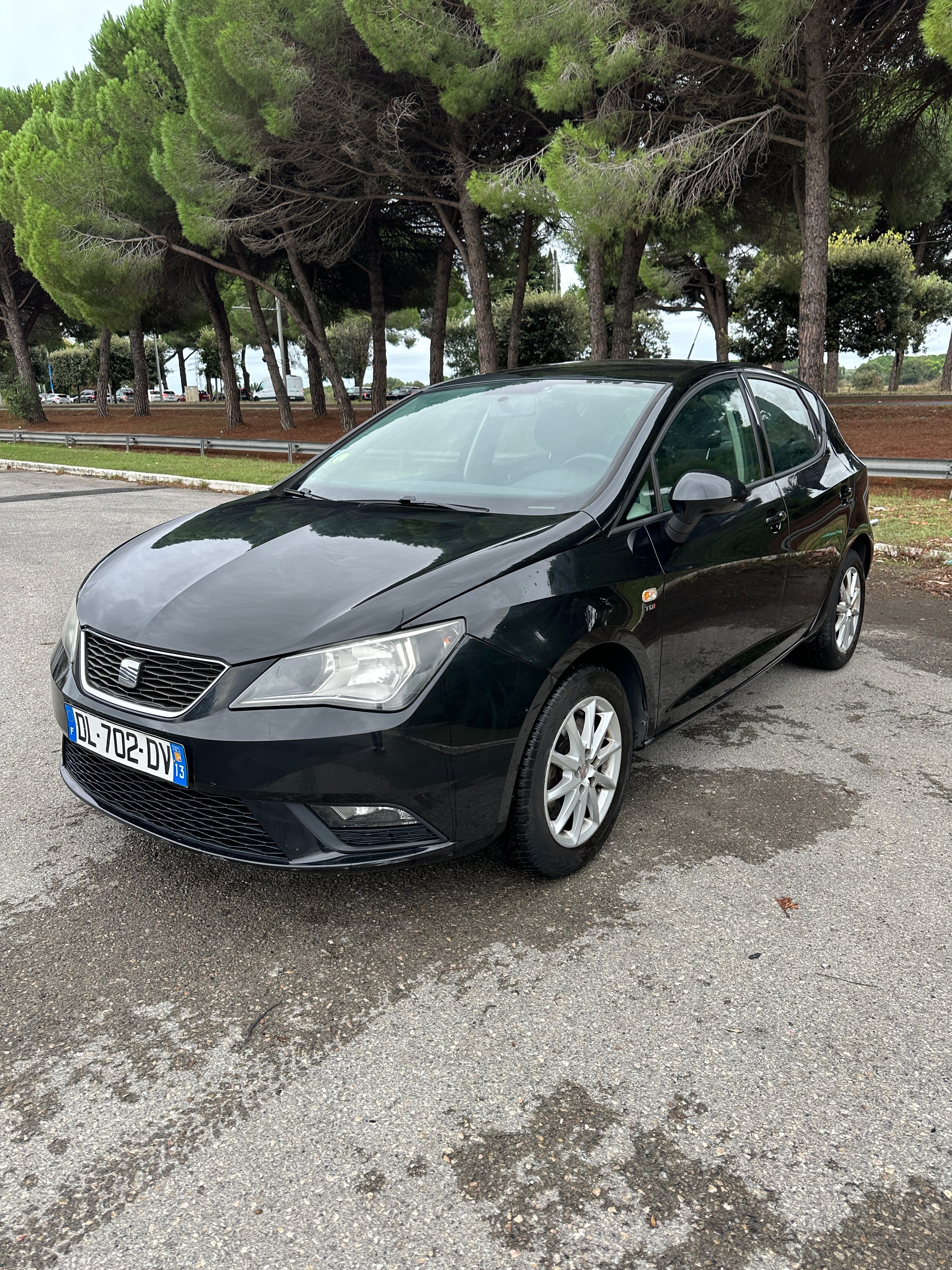 Seat Ibiza, 2012, Diesel