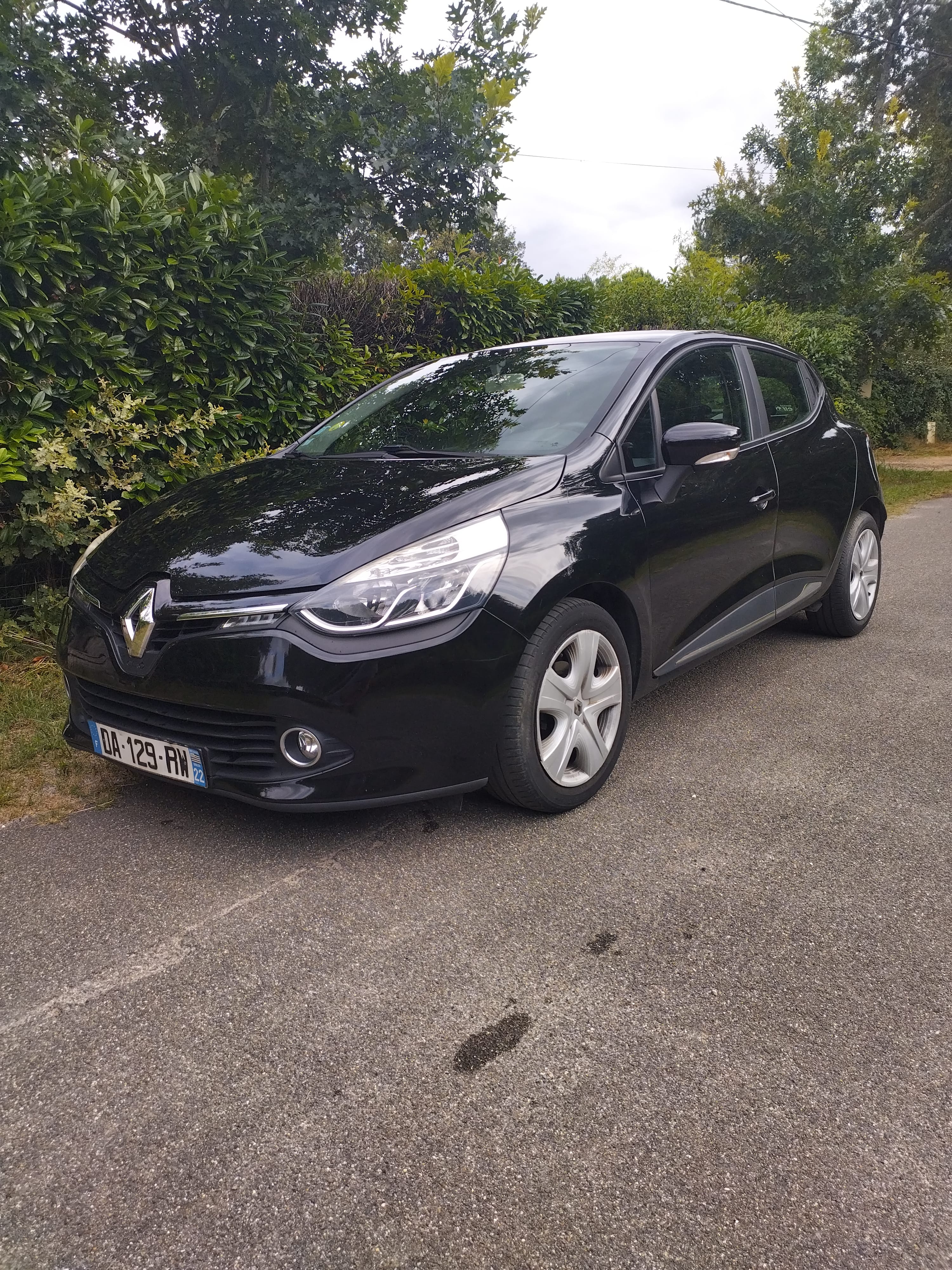 Renault Clio, 2013, Diesel