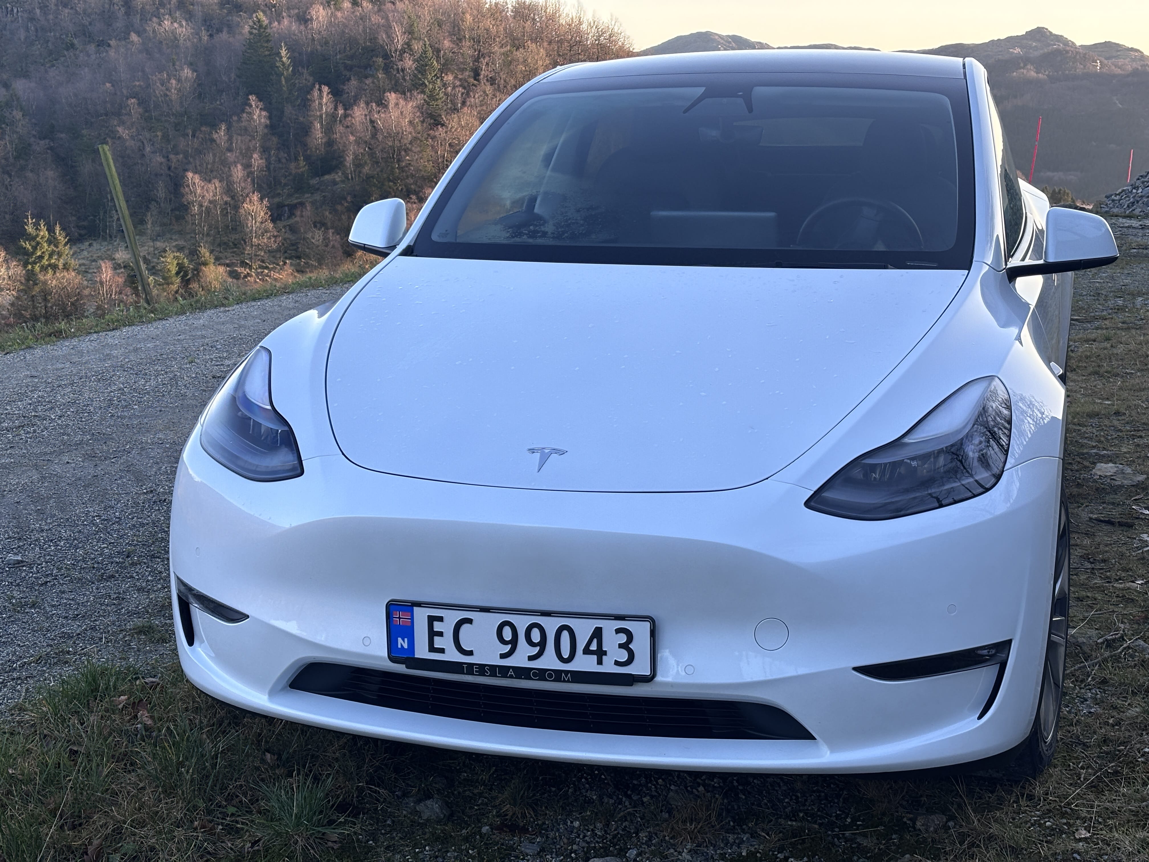 Tesla Model Y, 2021, Elektrisk, automatisk