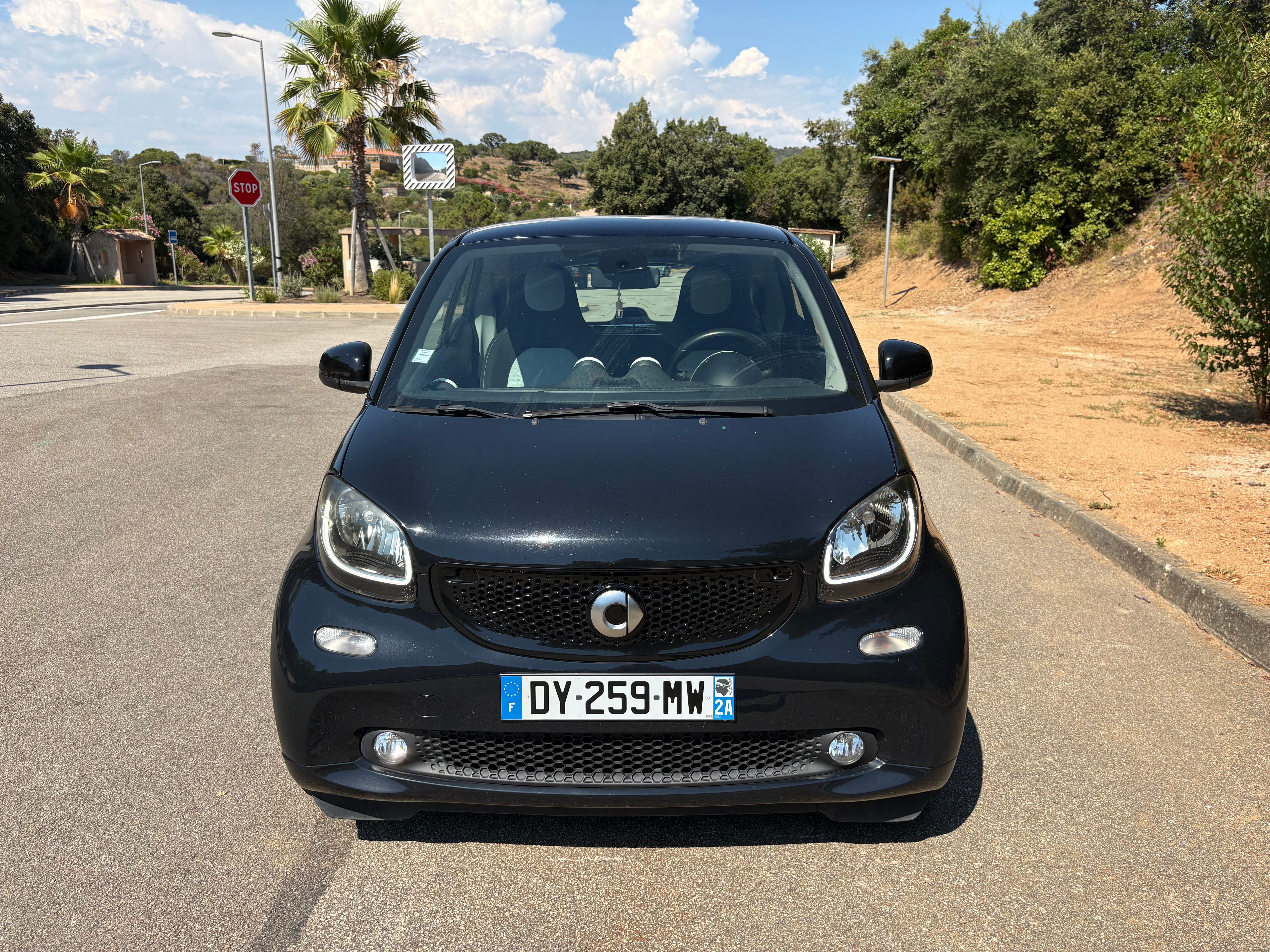 Smart Fortwo Passion, 2015, Essence 95