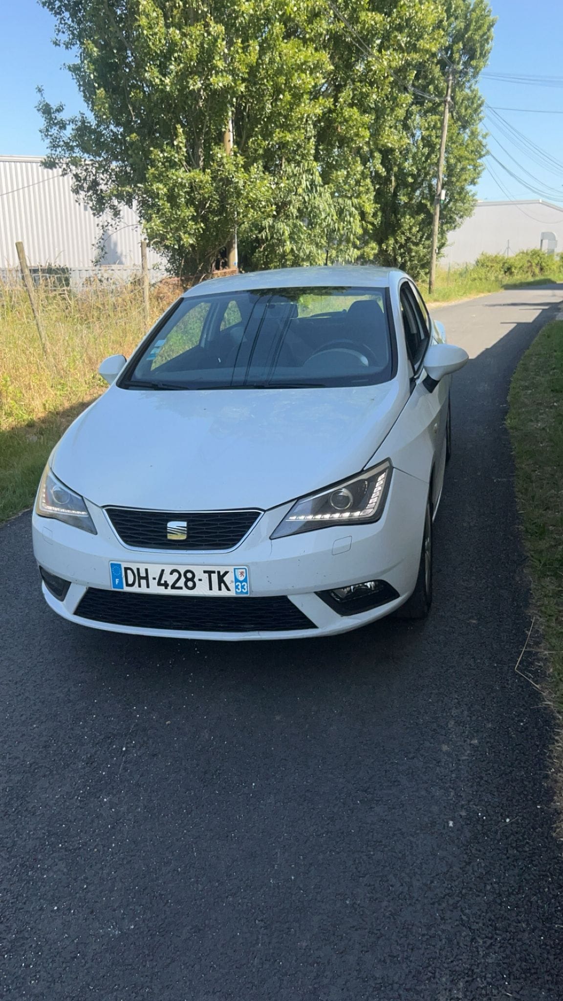 Seat Ibiza, 2014, Essence 95