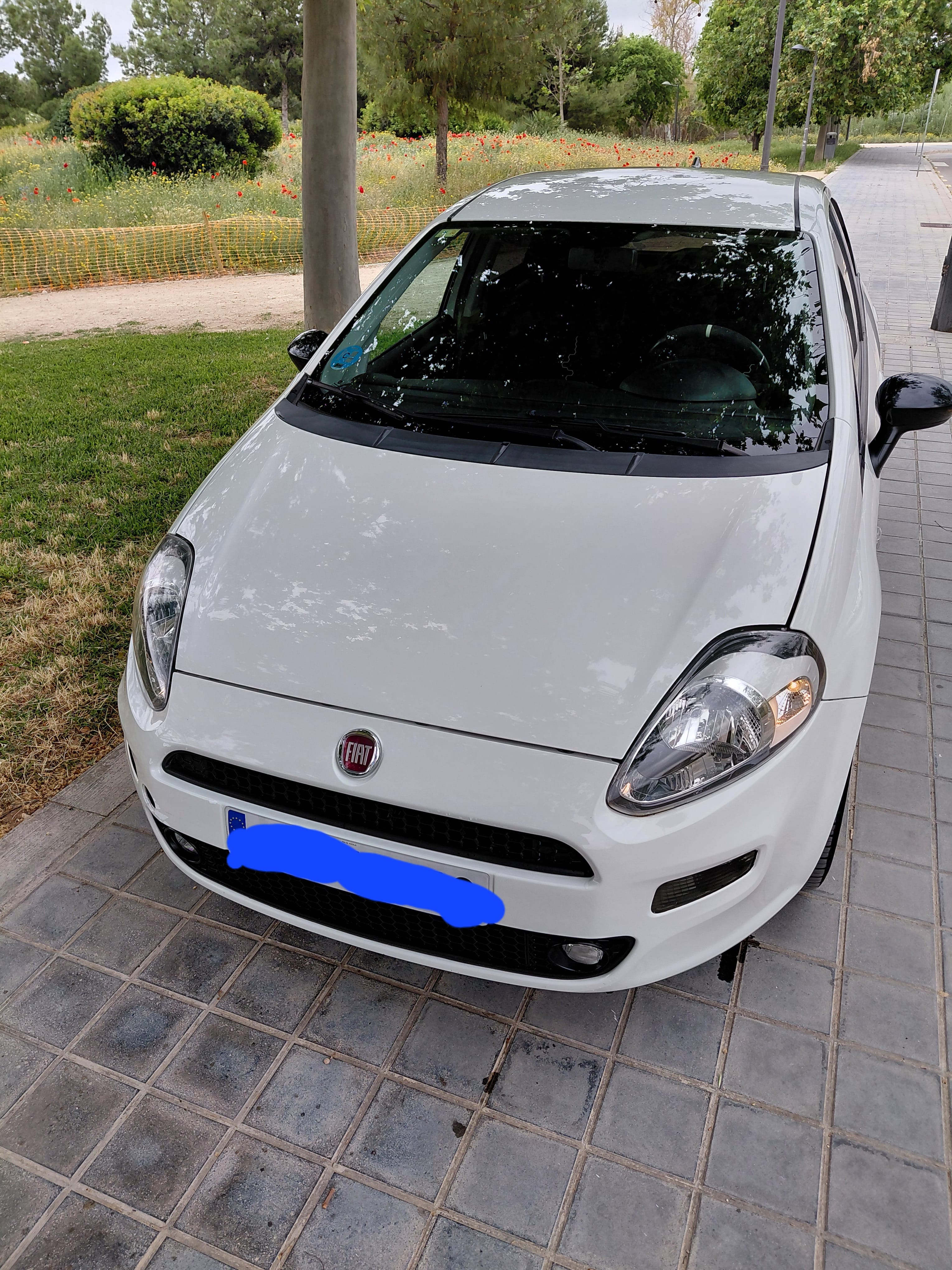Fiat Punto, 2015, Gasolina 95