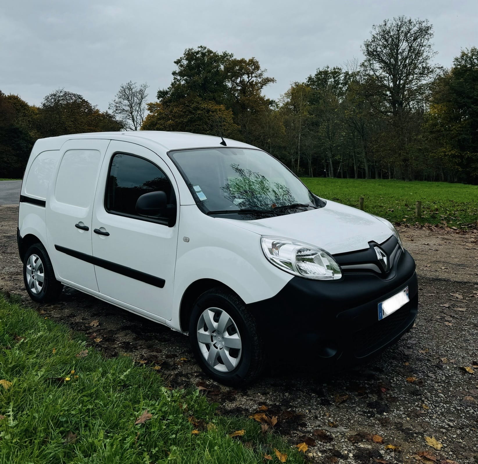 Renault Kangoo Express - Etat neuf - Diesel - parking réservé, 2020, Diesel