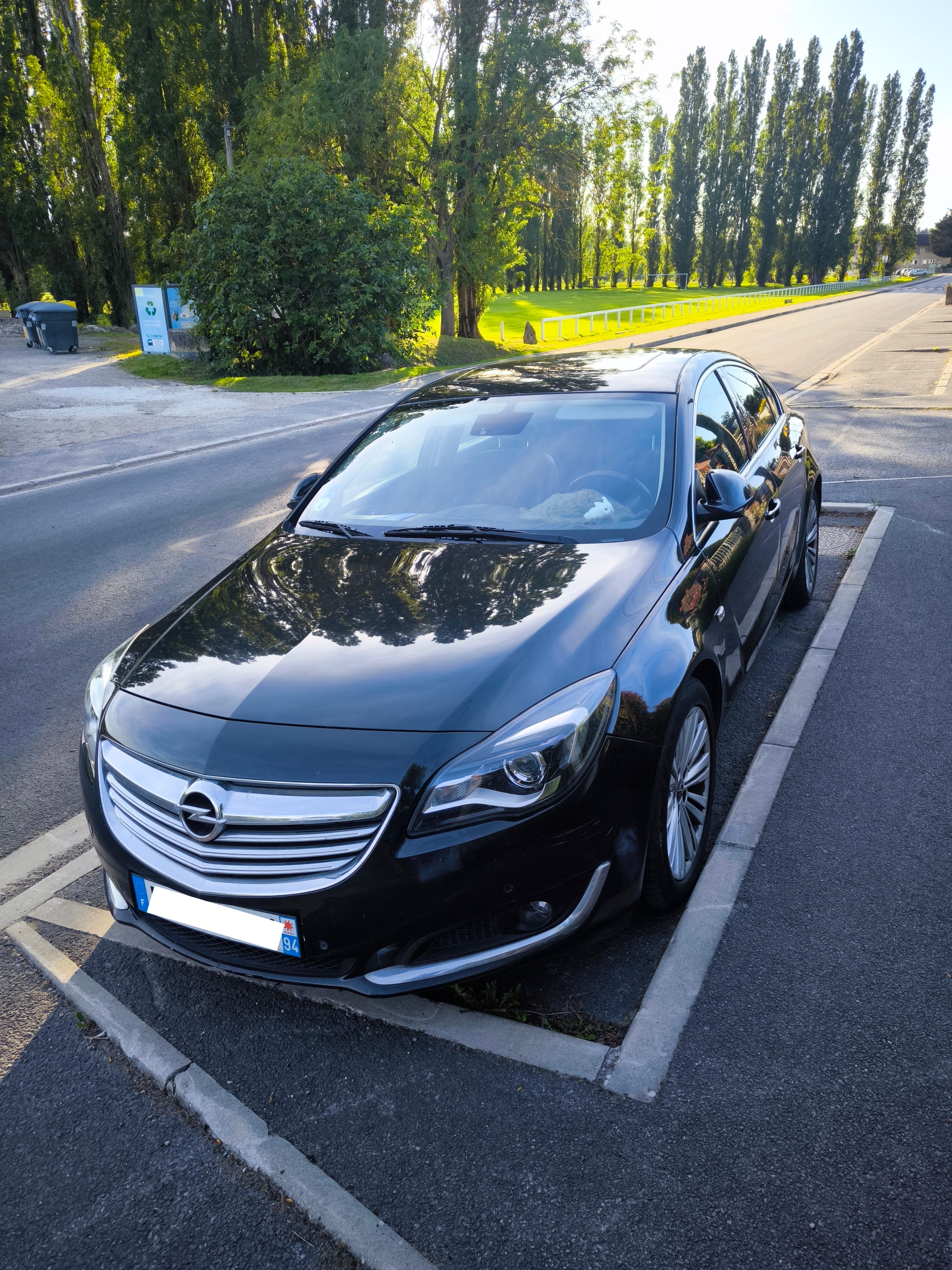 Opel Insignia, 2014, Diesel