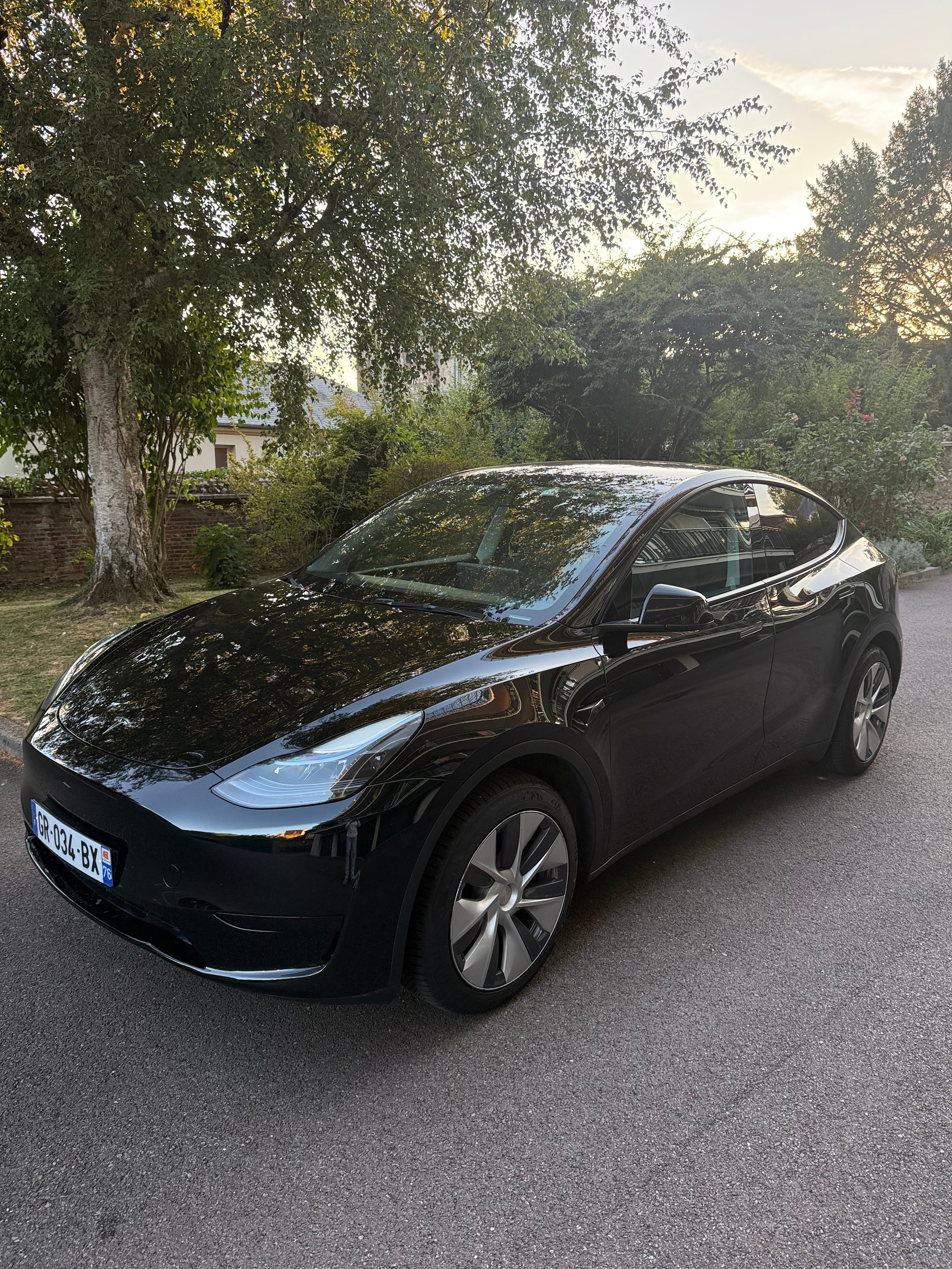 Tesla Model Y, 2023, Électrique, automatique
