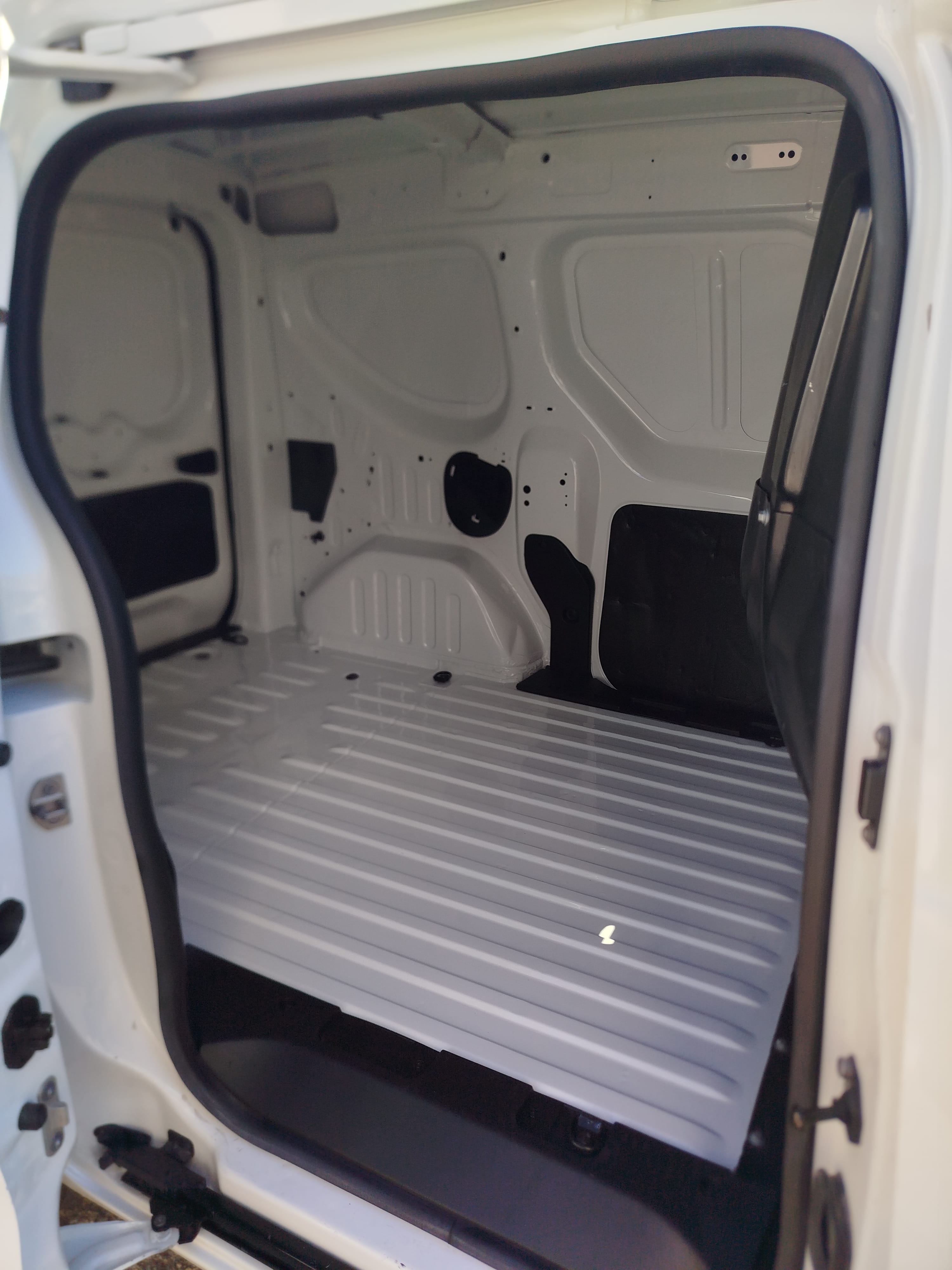 Renault Express con Audio Bluetooth