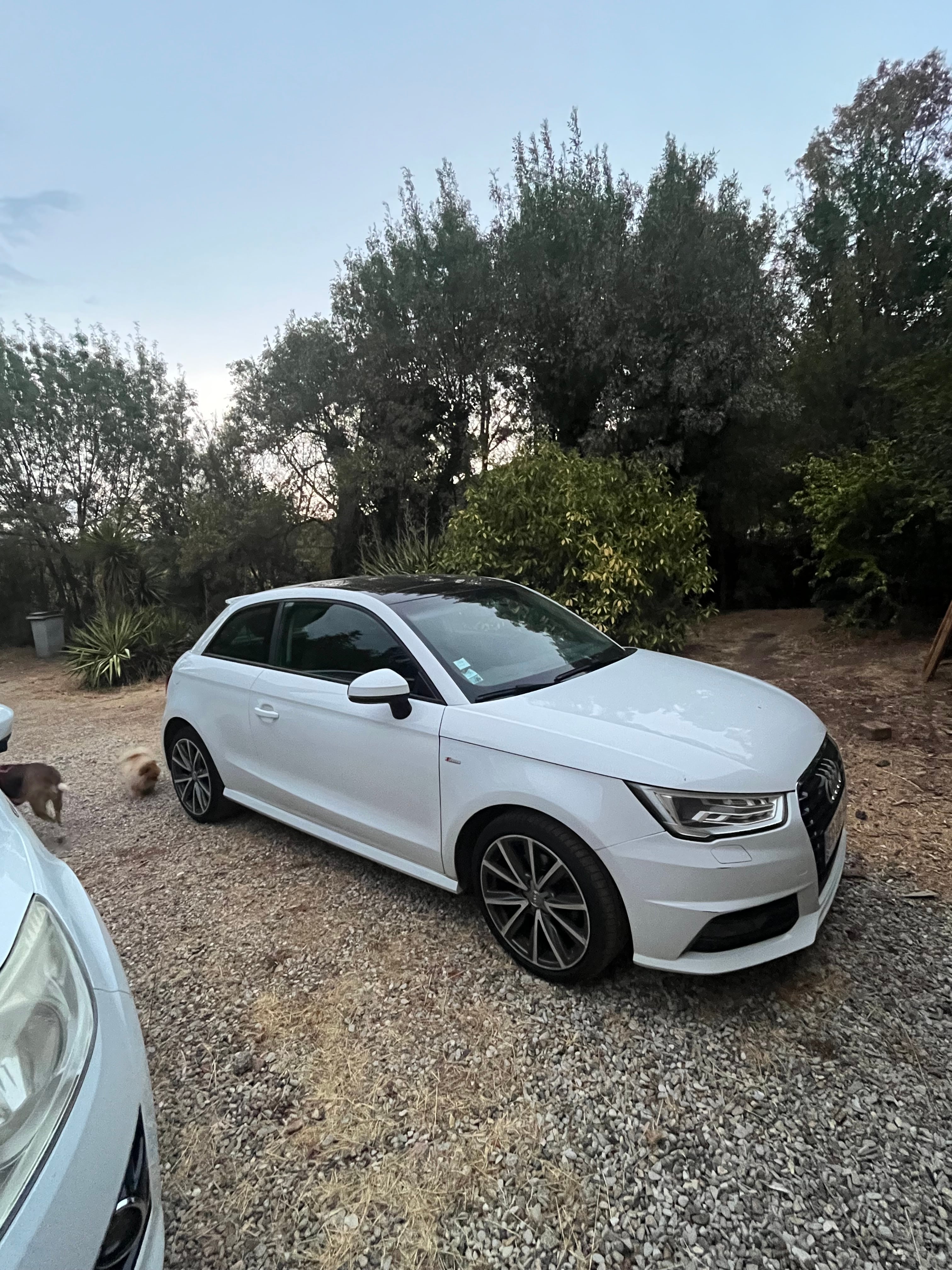 Audi A1, 2017, Essence 95