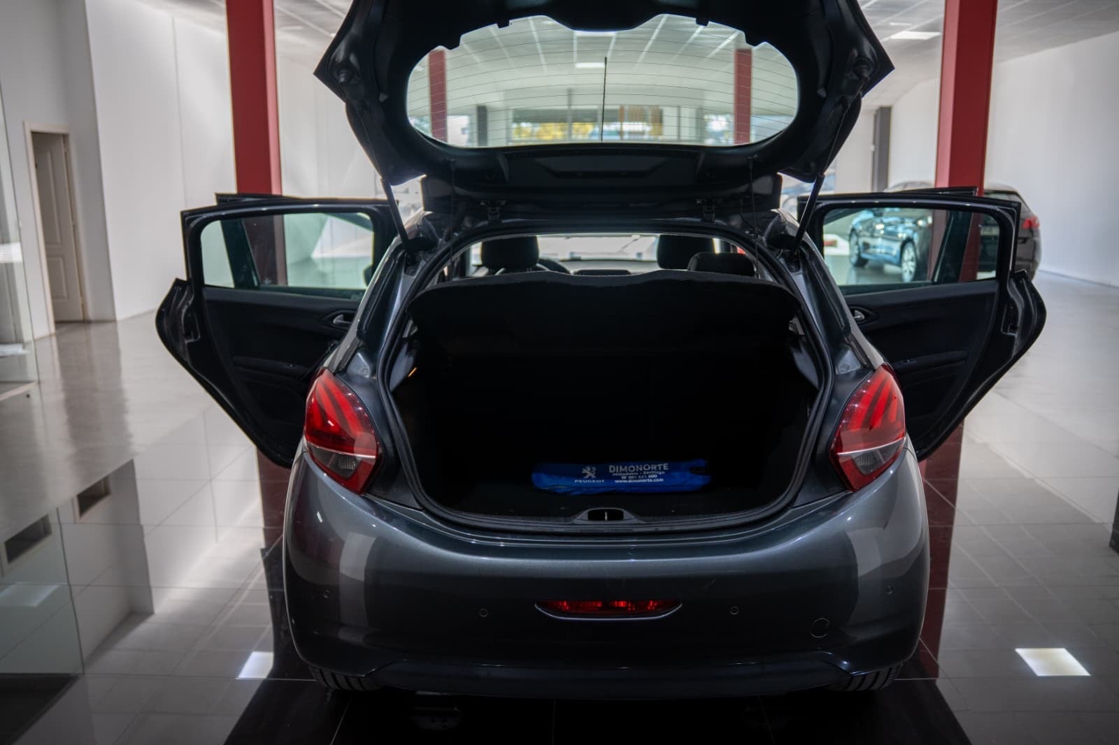 Peugeot 207 med GPS