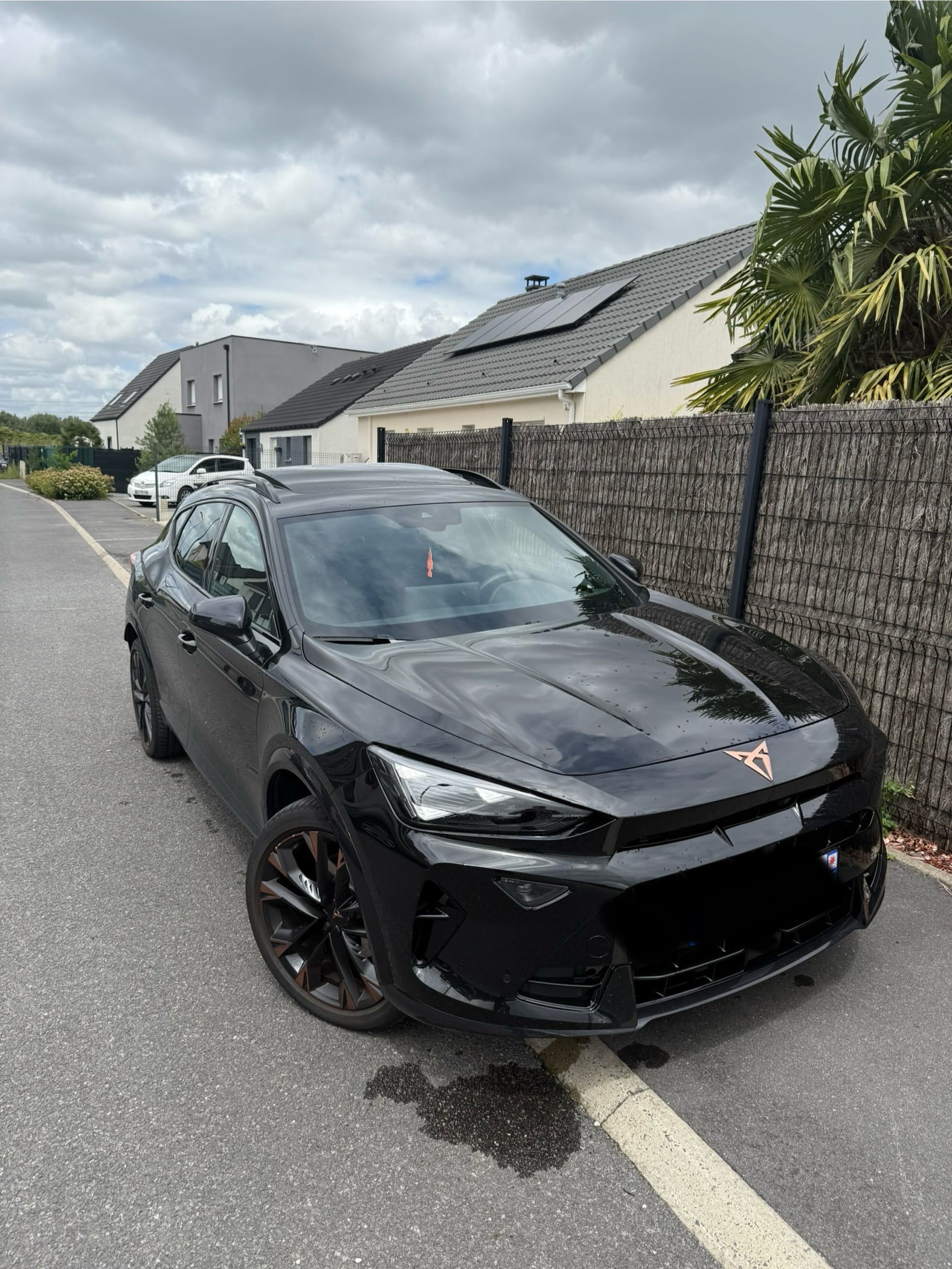 Cupra Formentor, 2025, Essence 95 / Électrique (hybride), automatique