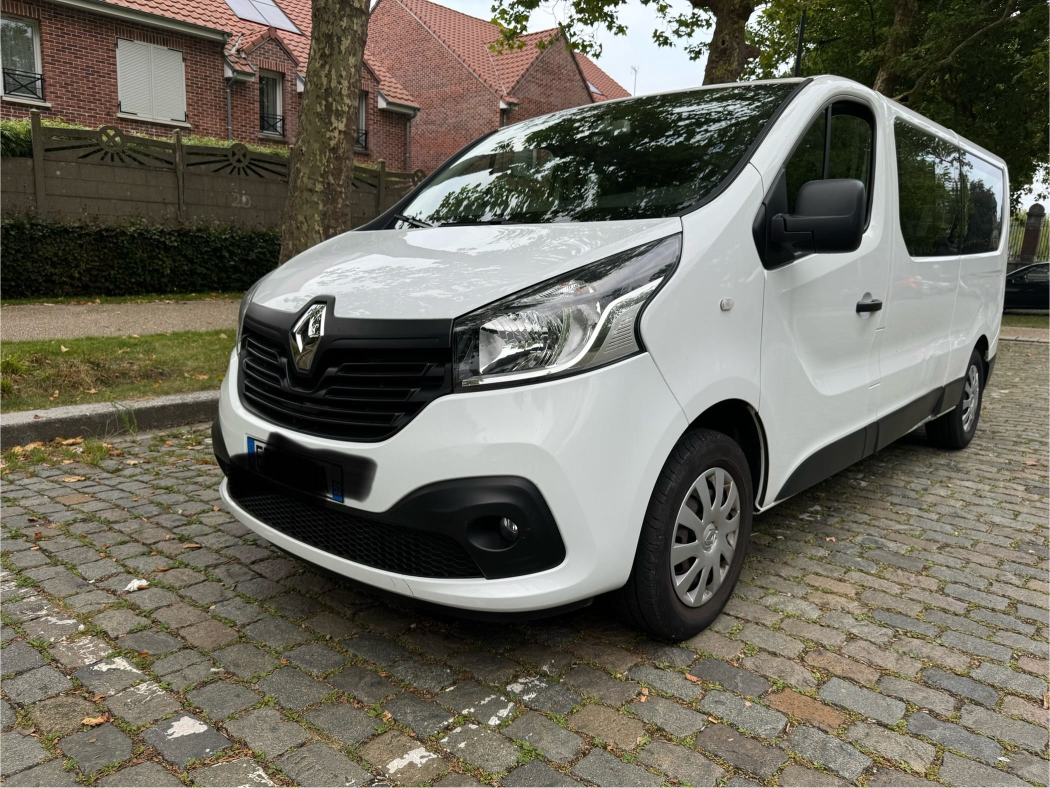 Renault Trafic Passenger, 2018, Diesel, 9 places et plus