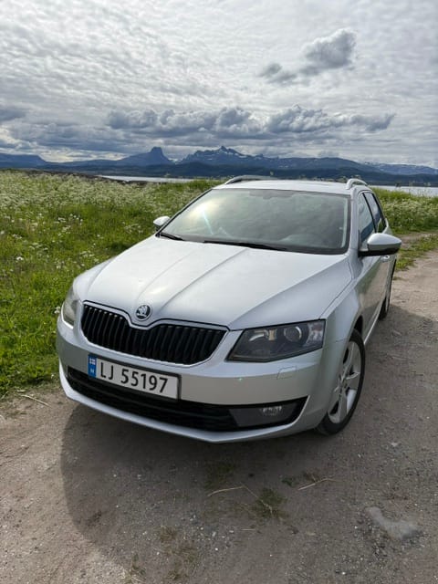 Skoda Octavia, 2014, Diesel, automatisk