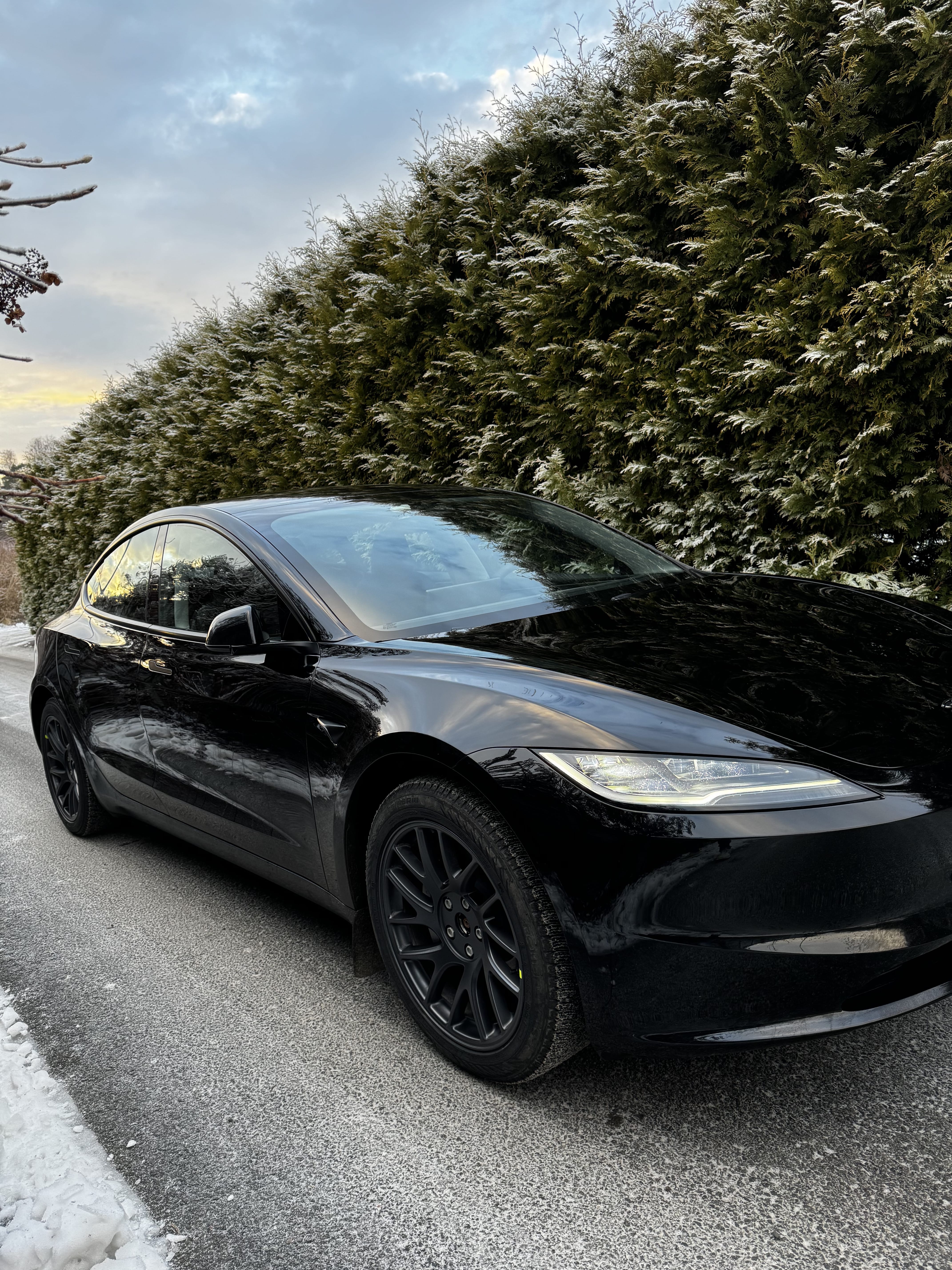Tesla Model 3 Long Range med Bluetooth audio