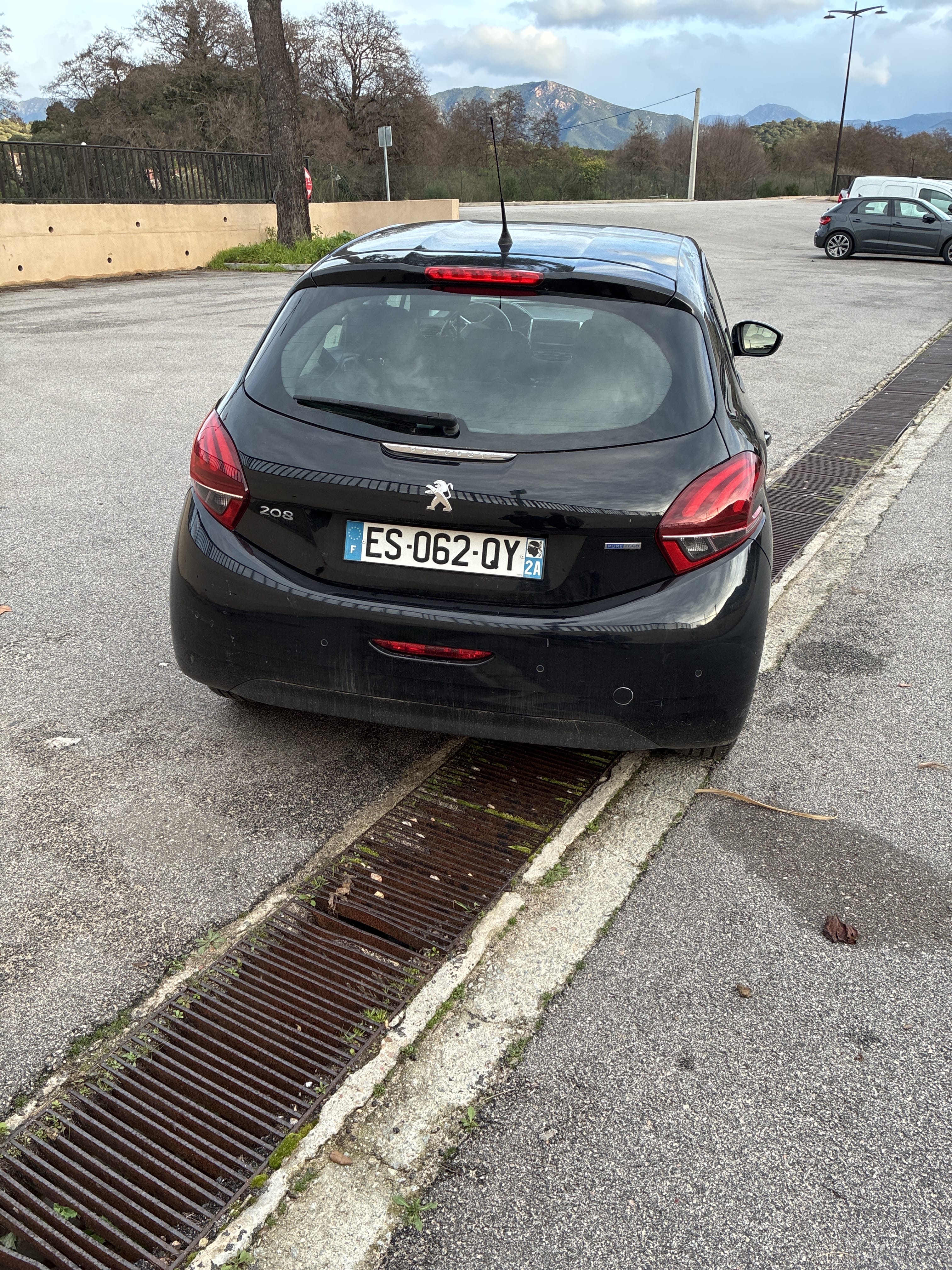 Peugeot 208 with Cruise control