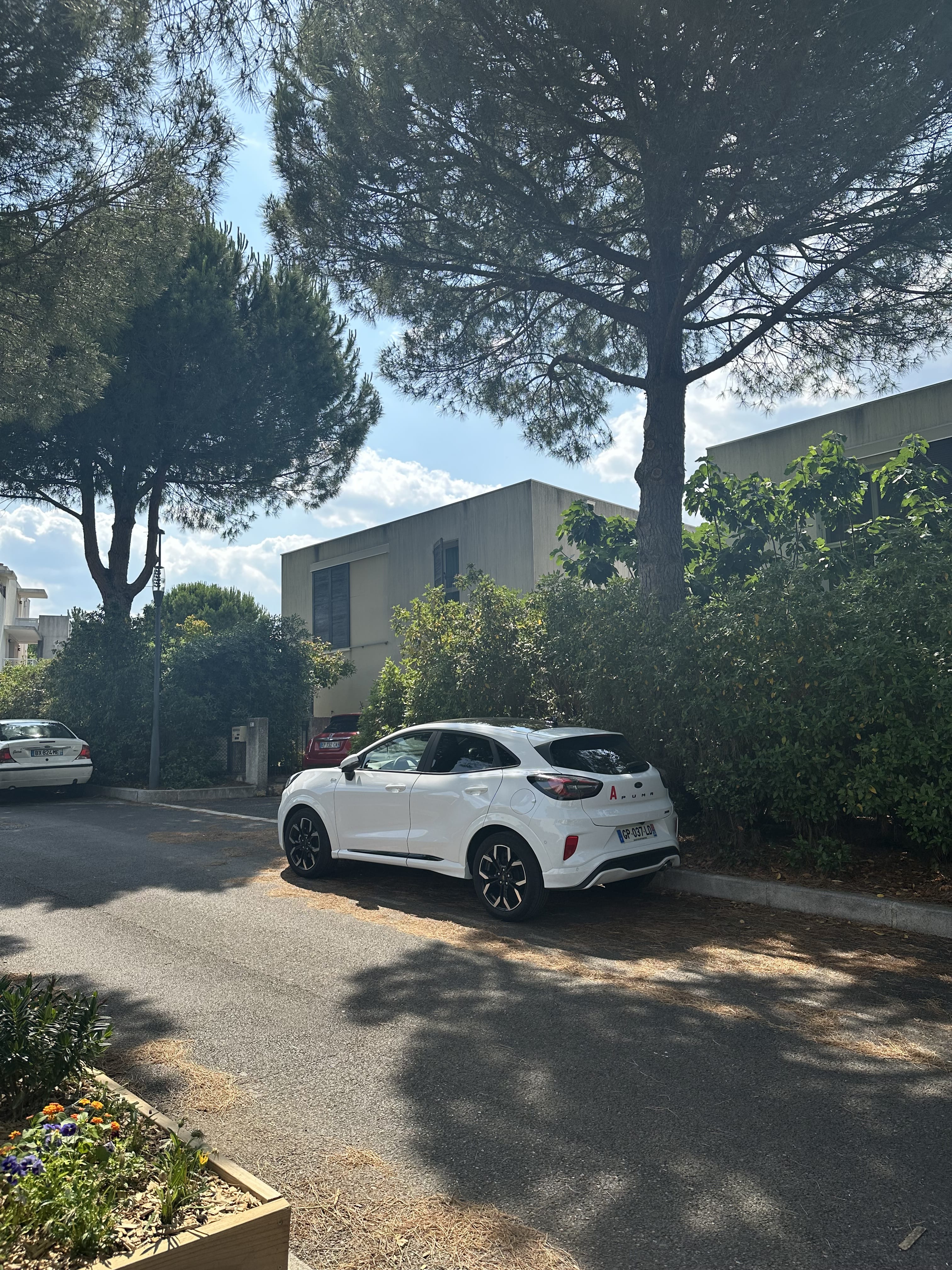 Ford Puma ST Line X avec Android Auto