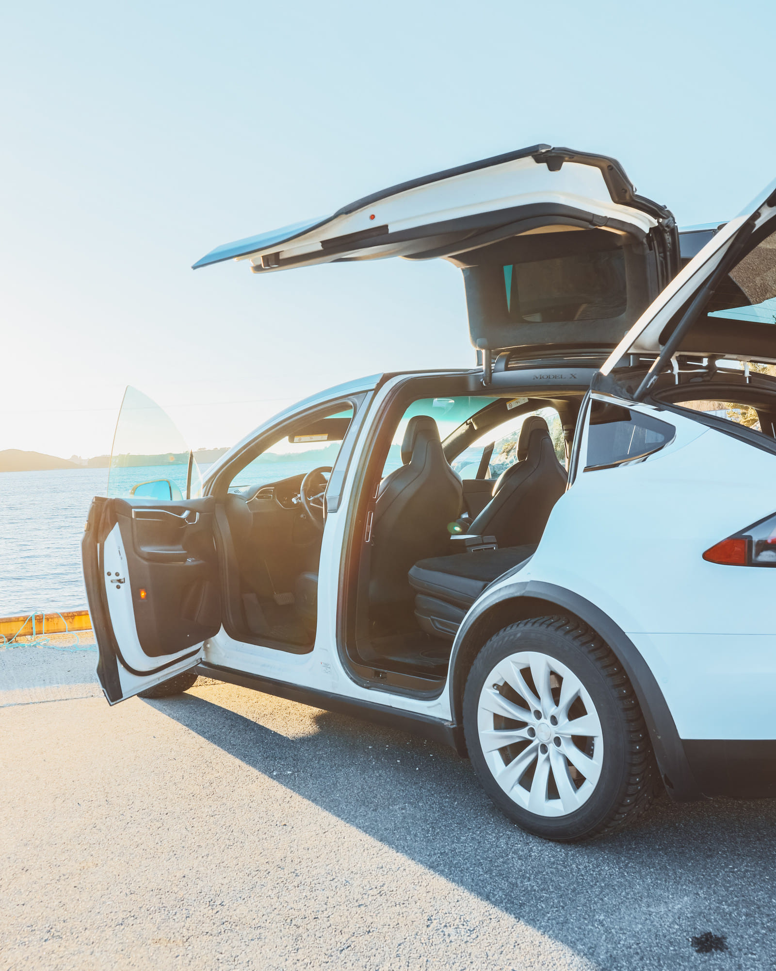 Tesla Model X 100D med GPS