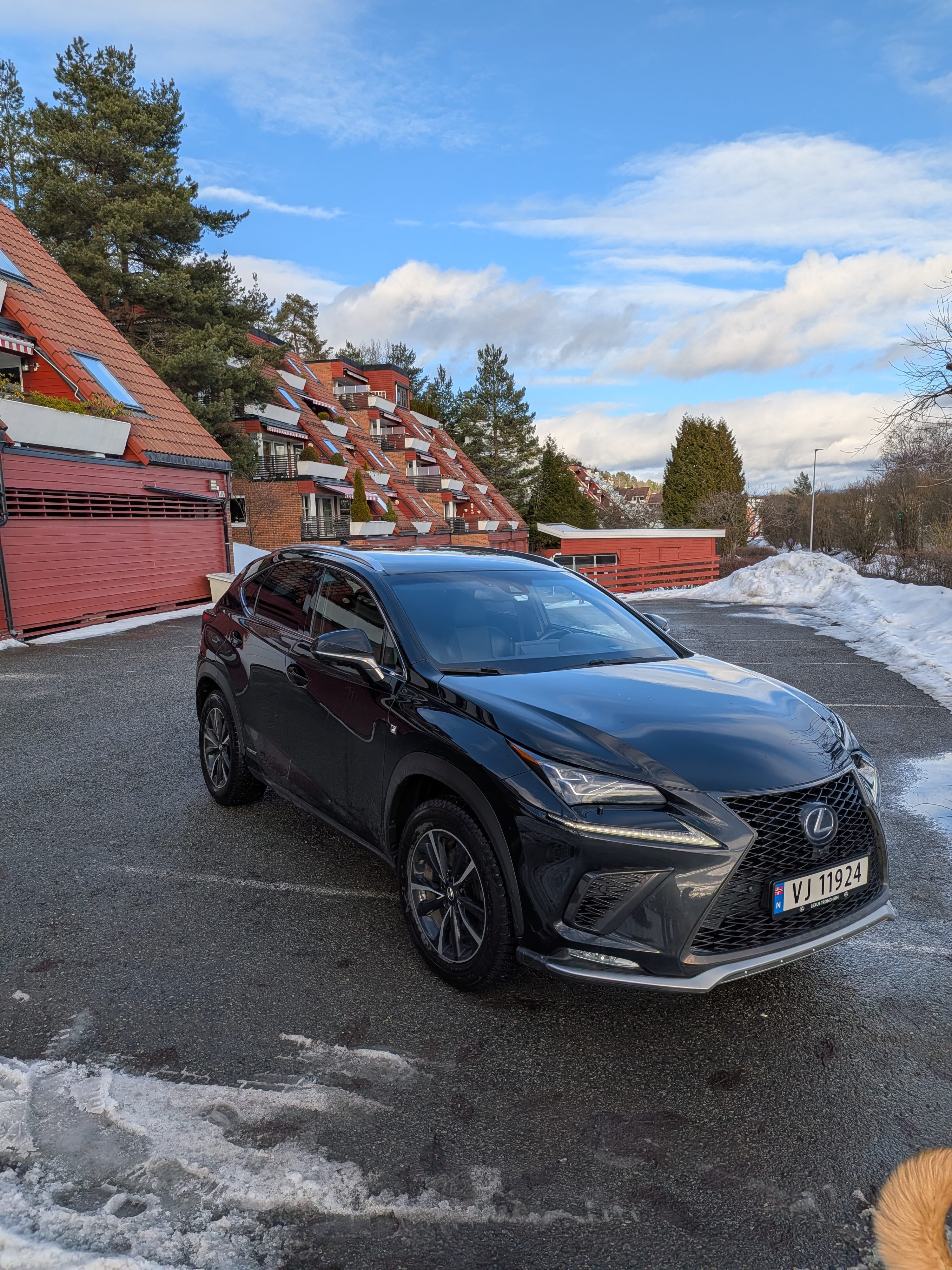Lexus NX 300 F Sport with Snow tires