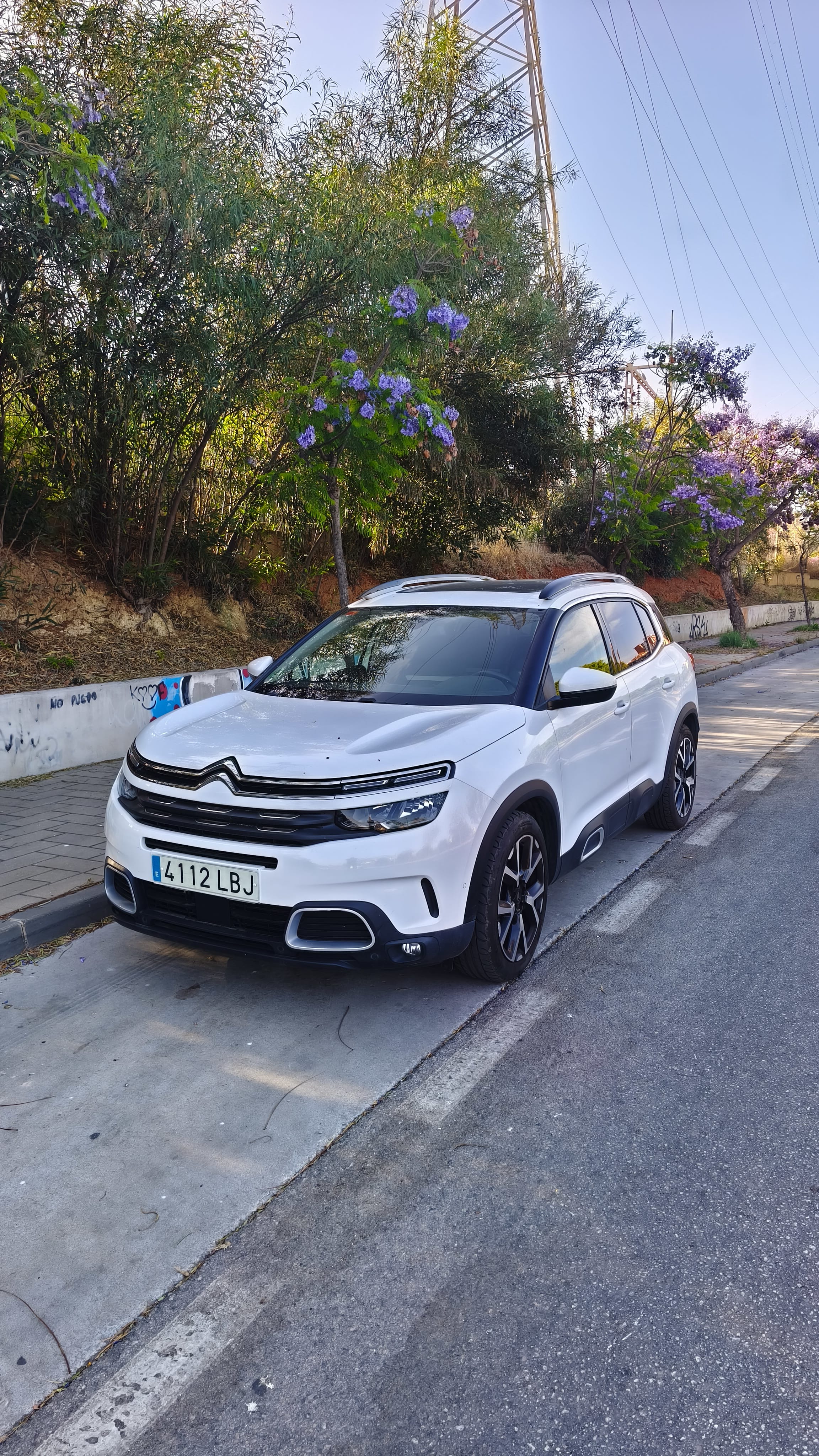 Citroen C5 Aircross with Baby seat