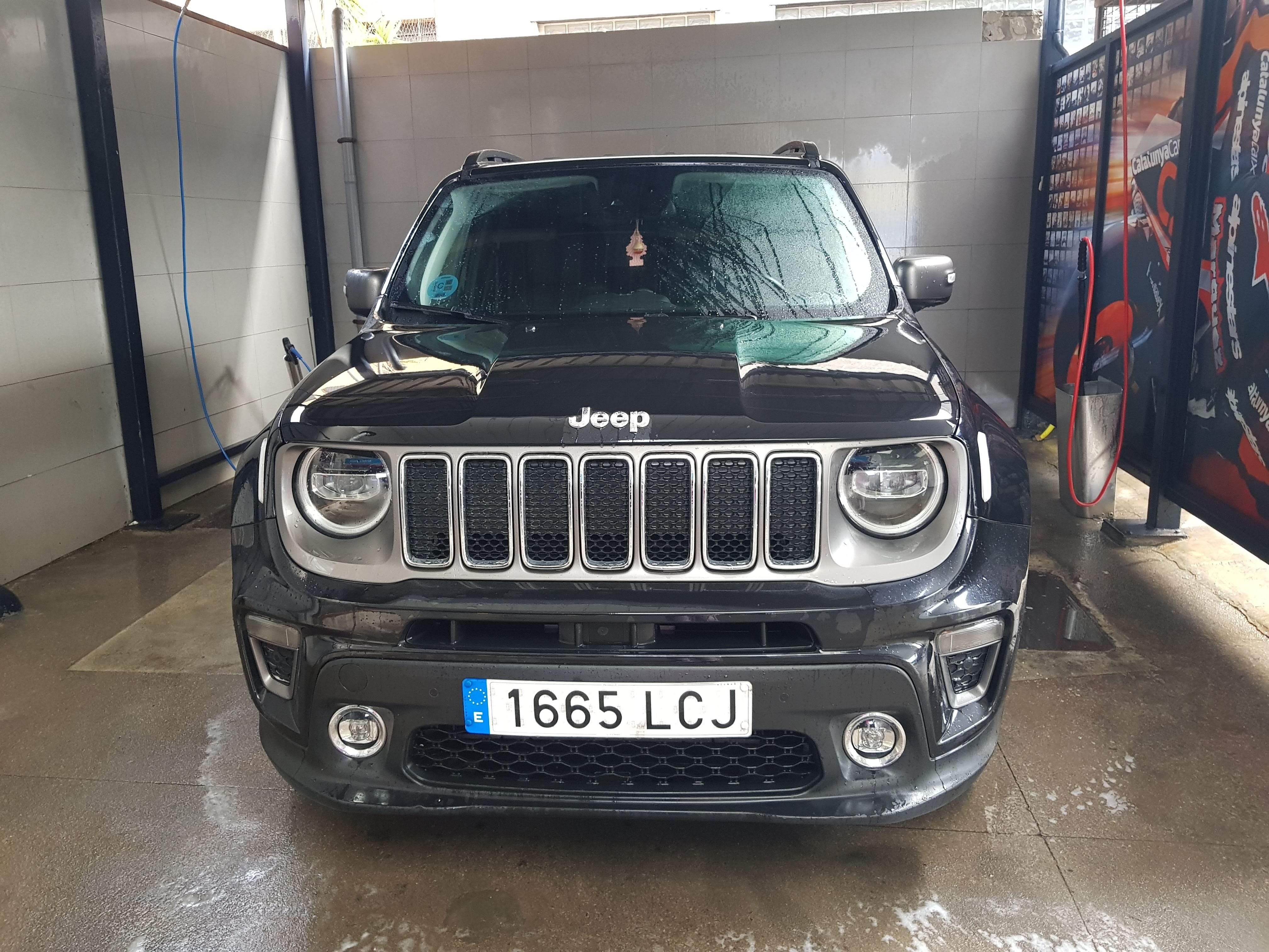 Jeep Renegade, 2019, Gasolina 95