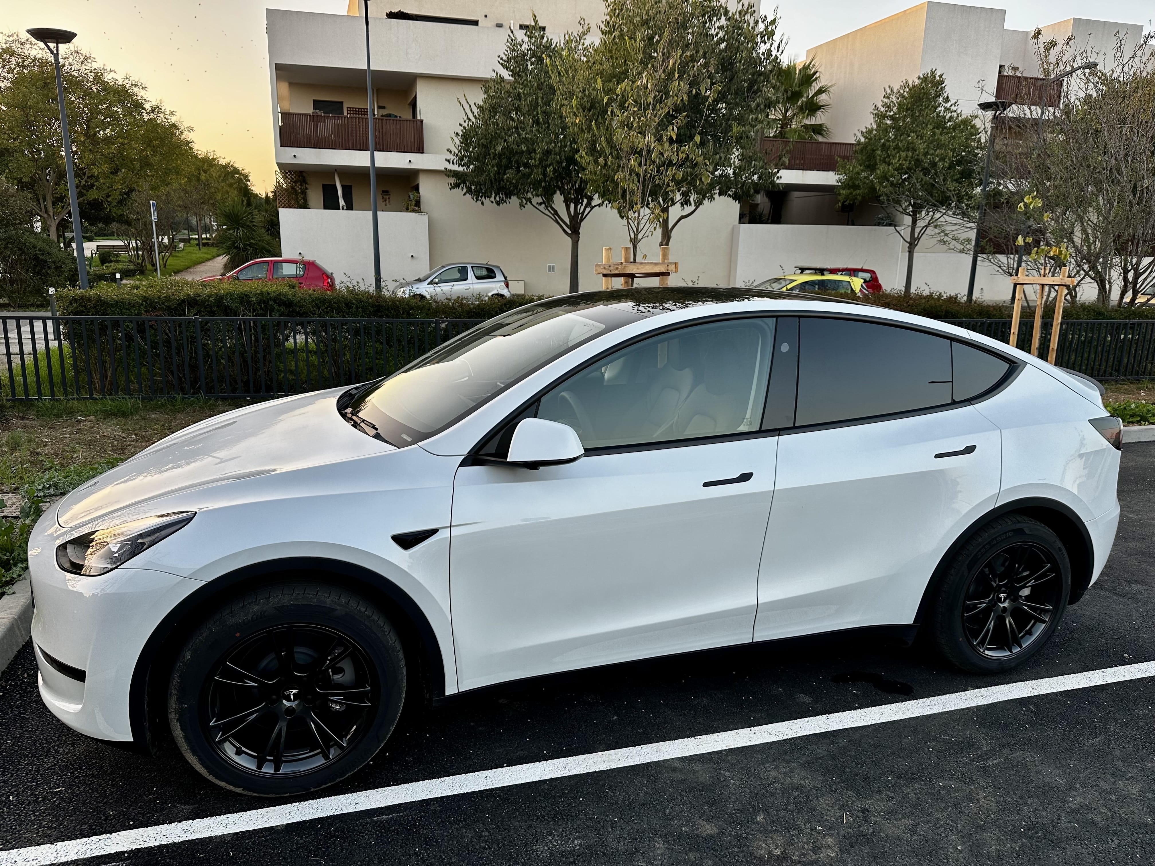 Tesla Model Y Standard Range 280cv avec Climatisation