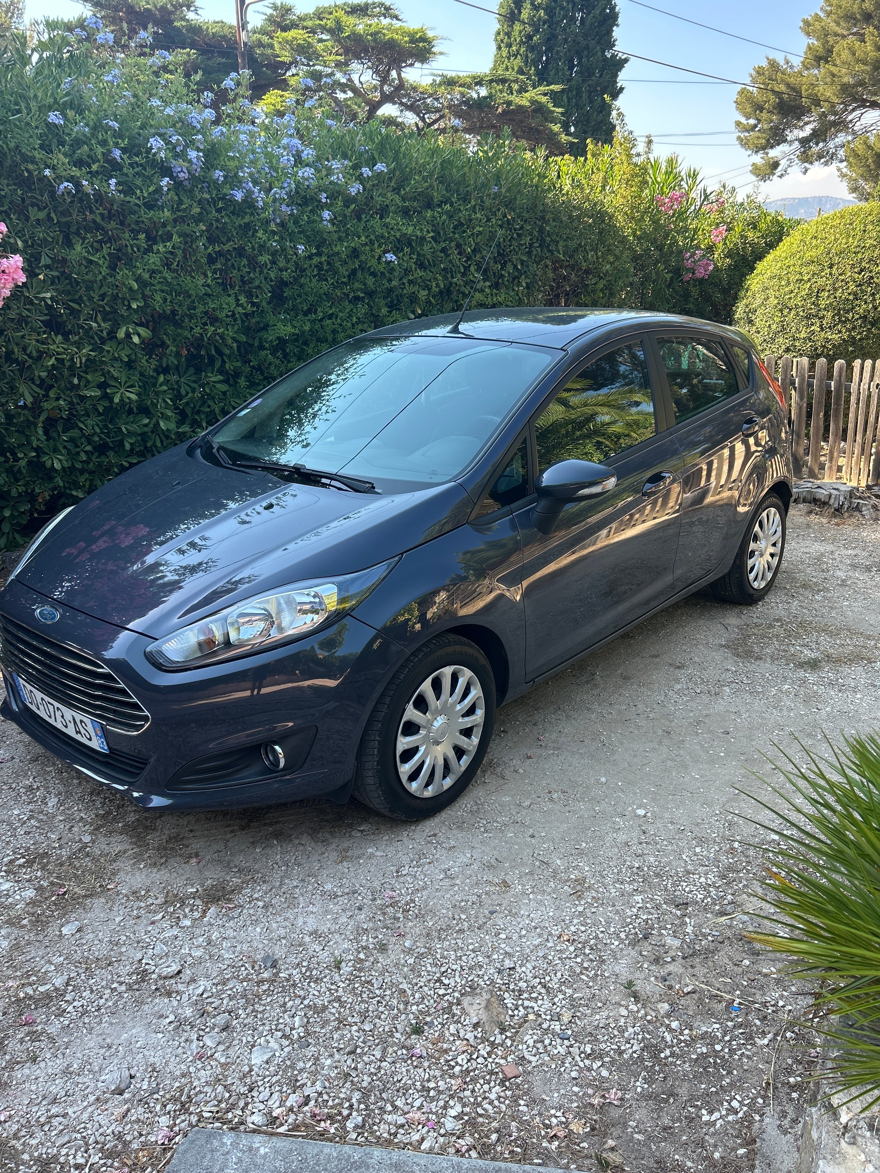 Ford Fiesta 1.1 ecoBoost essence, 2015, Essence 95