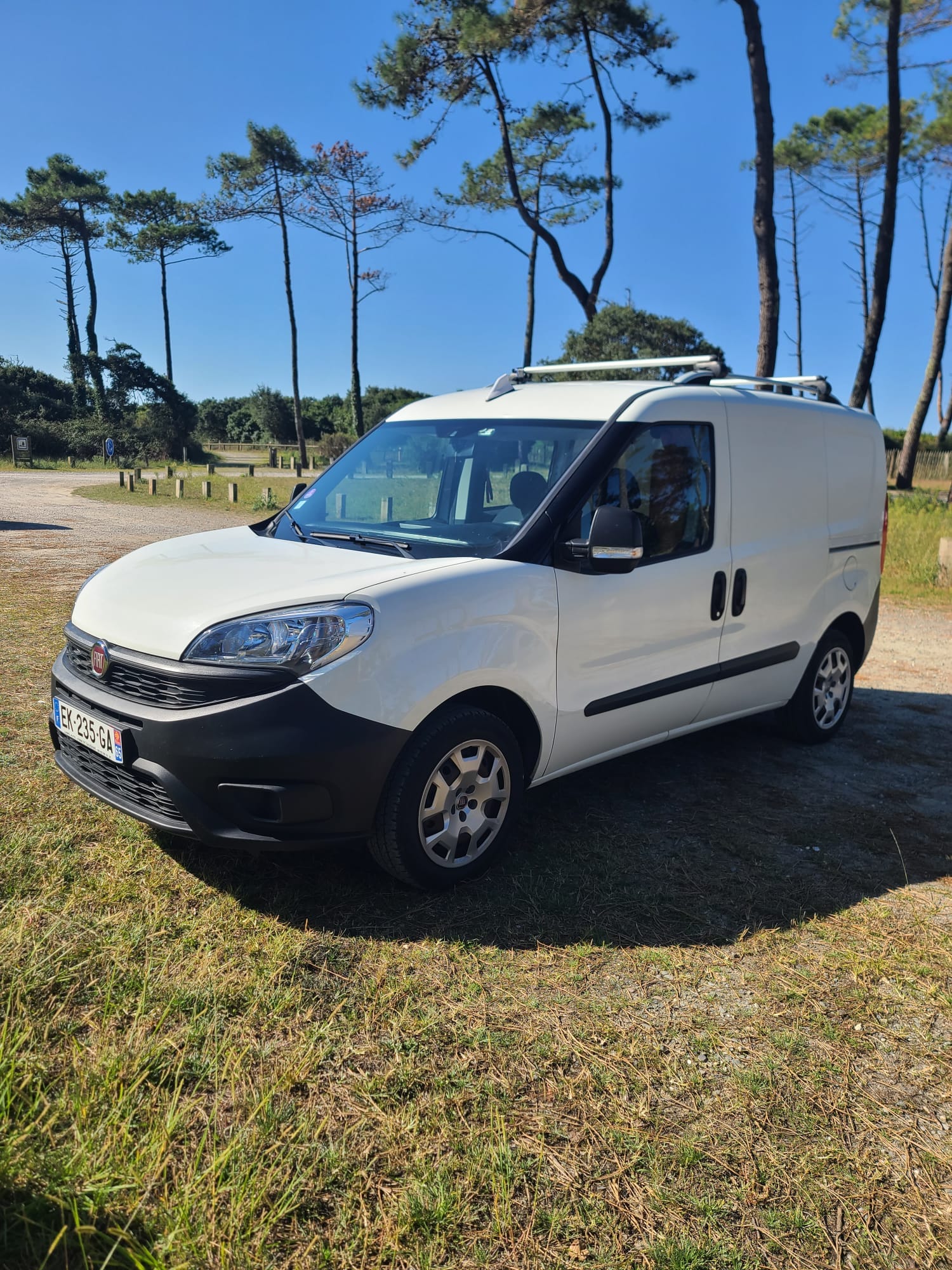 Fiat Doblo Cargo Utilitaire/Van aménagé, 2017, Essence 95