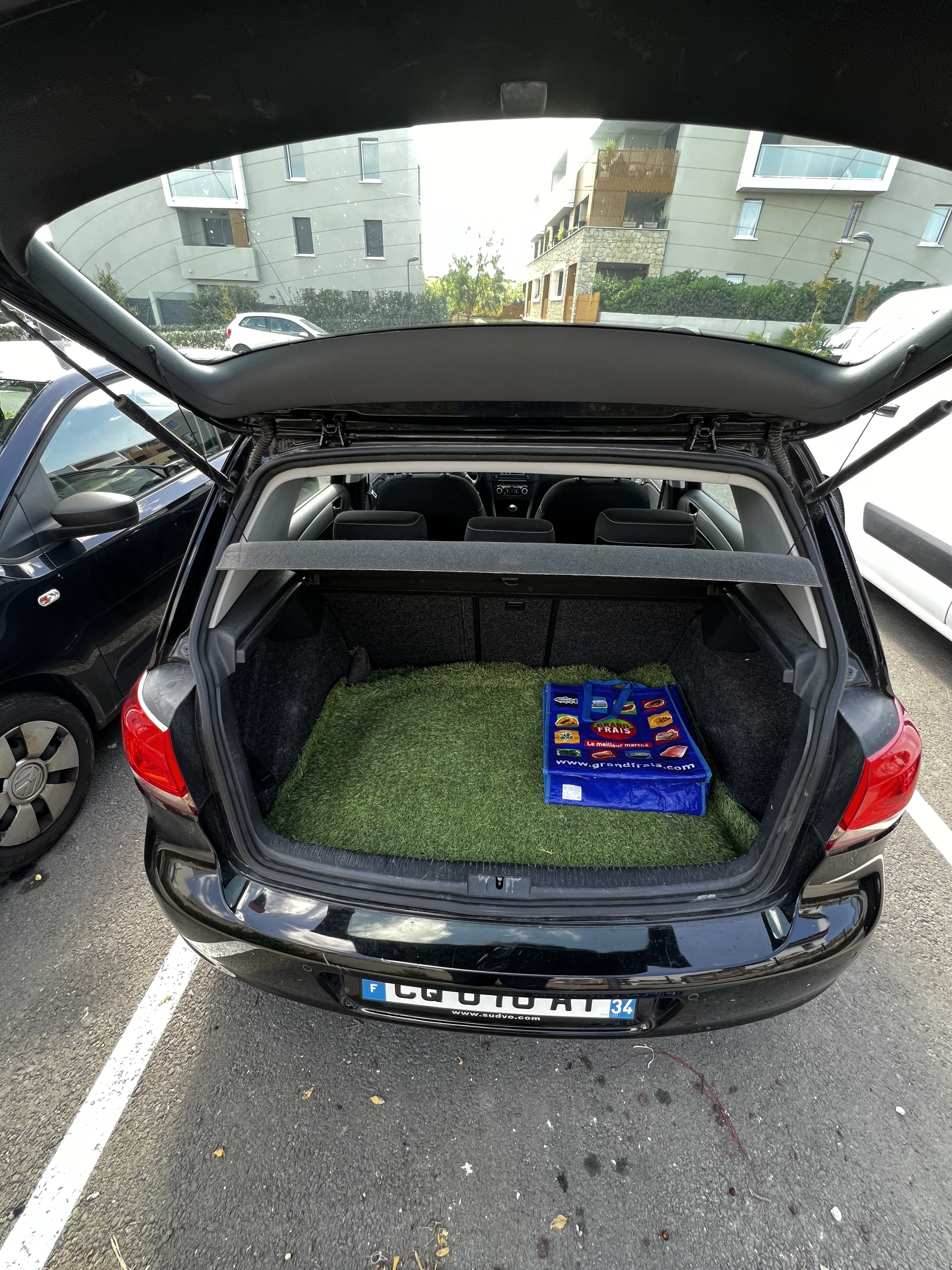 Volkswagen Golf 1.6 TDI BLUEMOTION avec Régulateur de vitesse