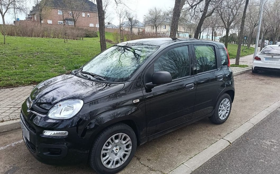 Fiat Panda, 2026, Gasolina 95