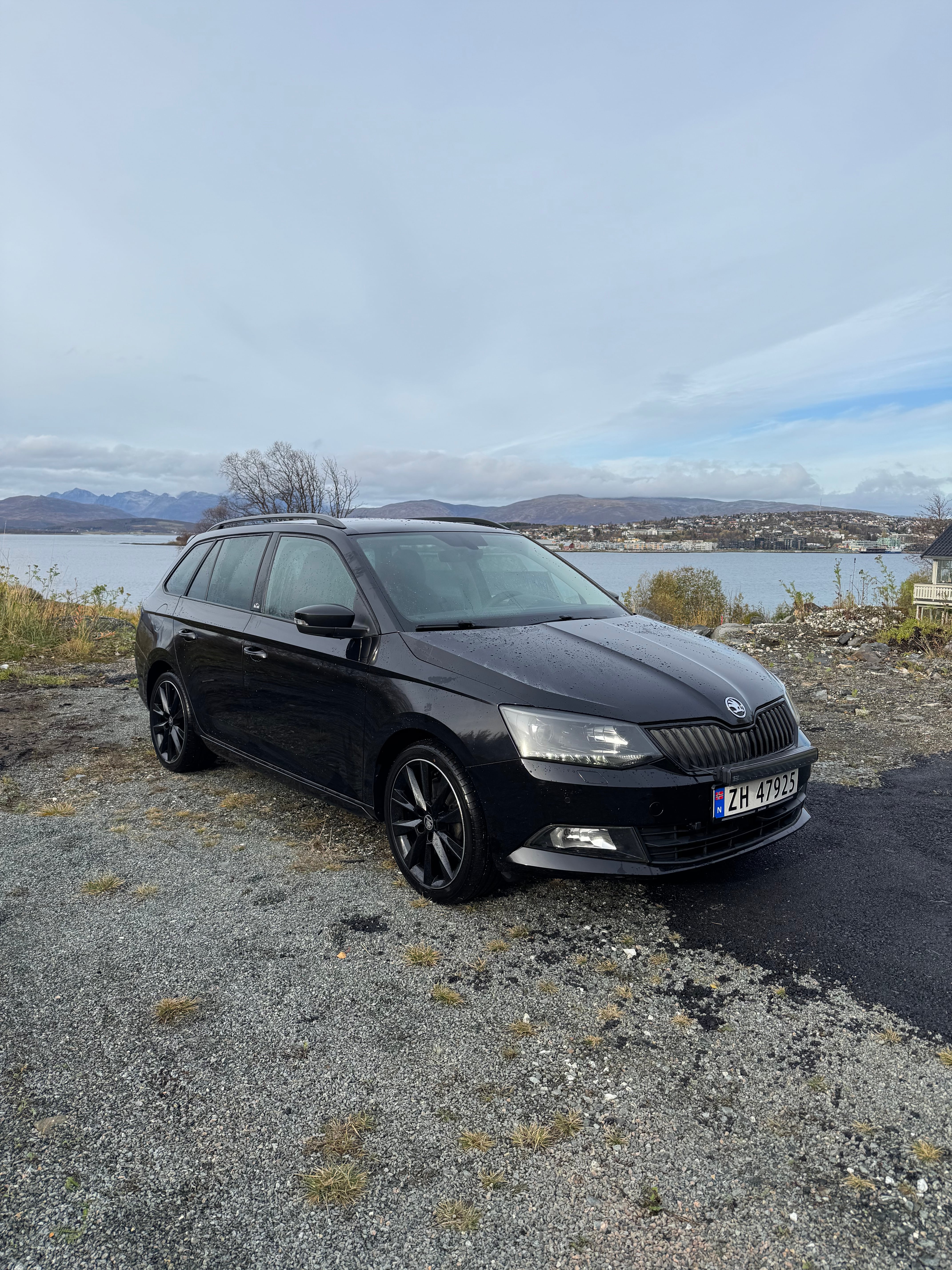 Skoda Fabia Combi, 2016, Blyfri 95
